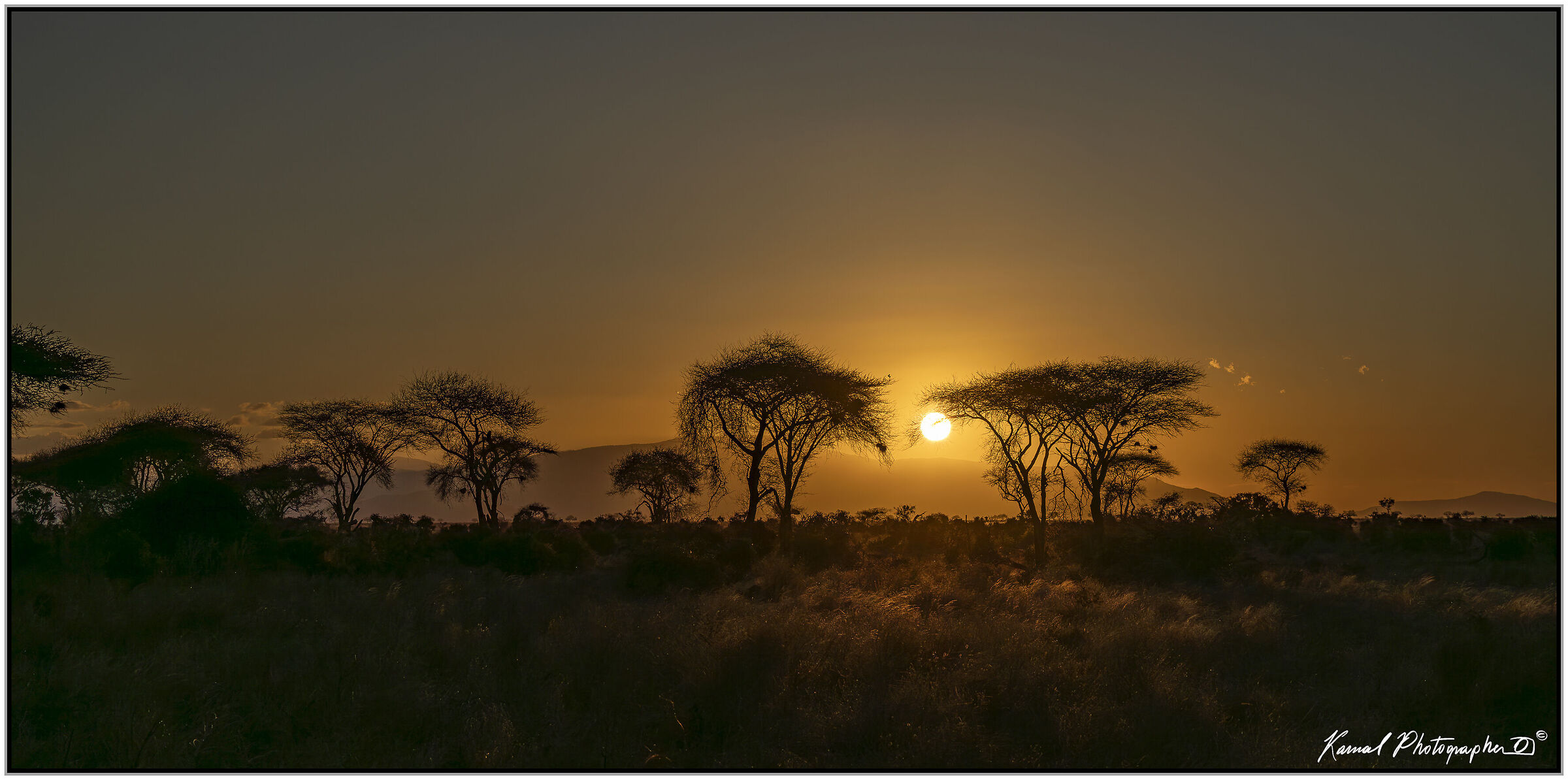 Amboseli national Park