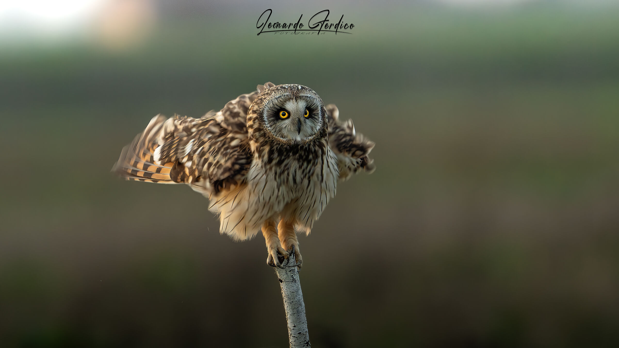 Time to stretch and immediately ready for the hunt!!