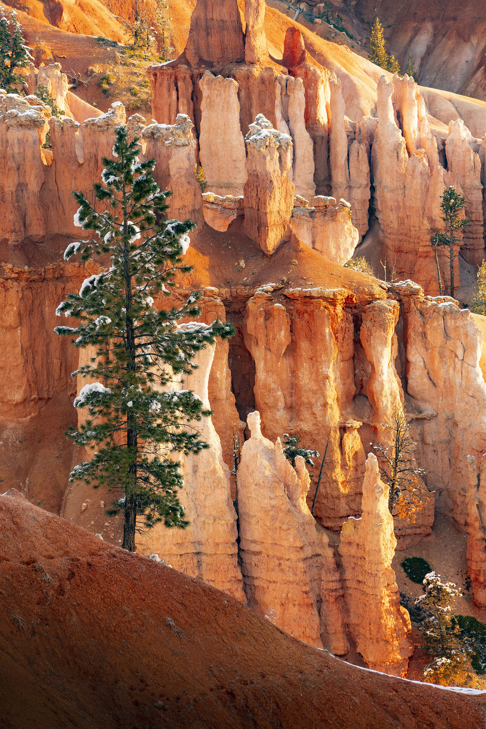Bryce Canyon National Park