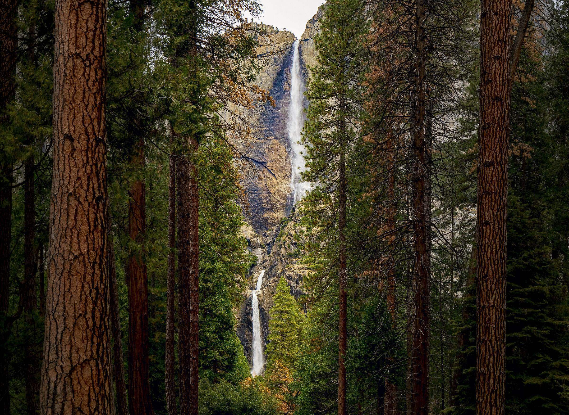 Yosemite National Park