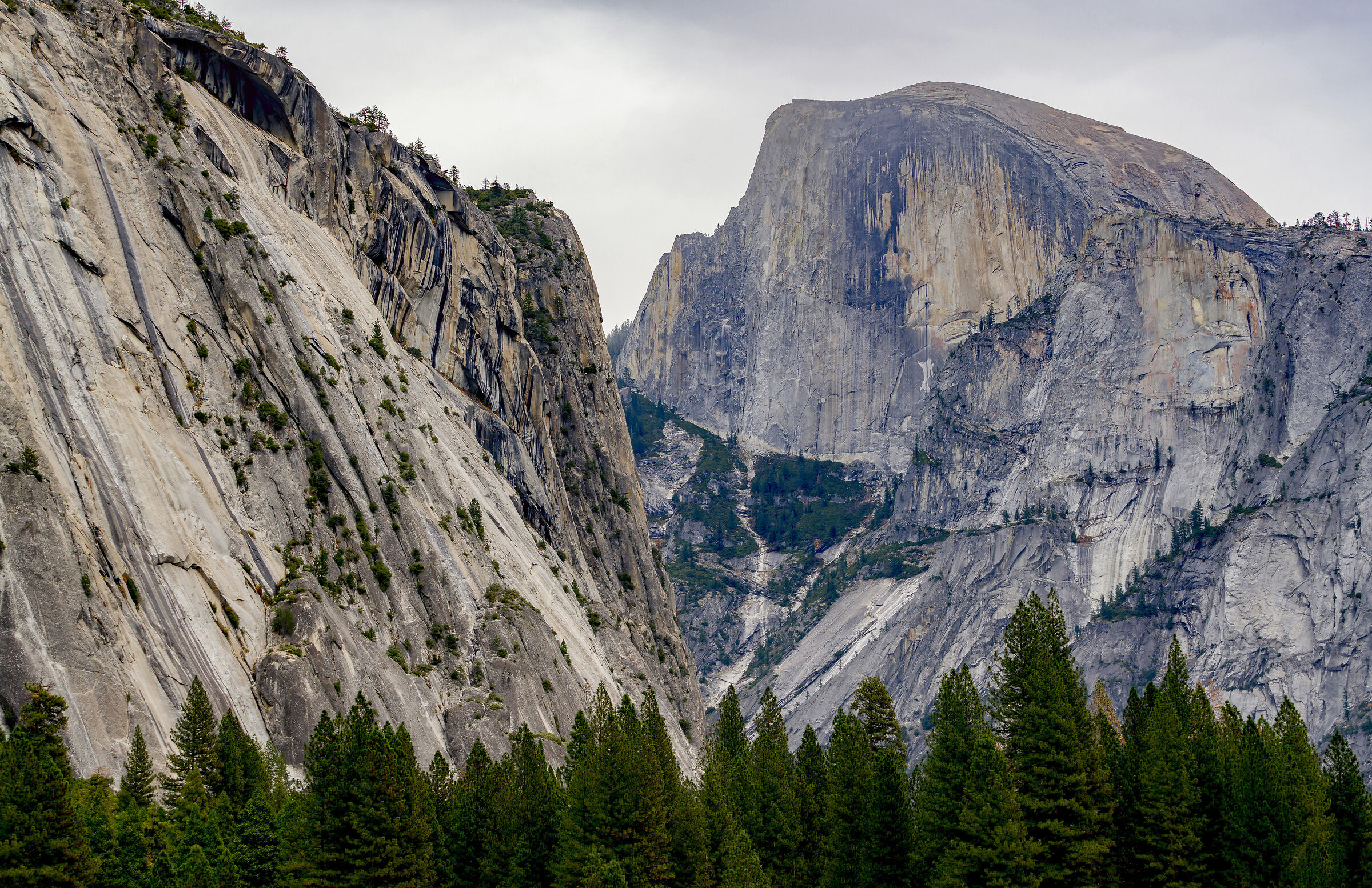 Yosemite National Park