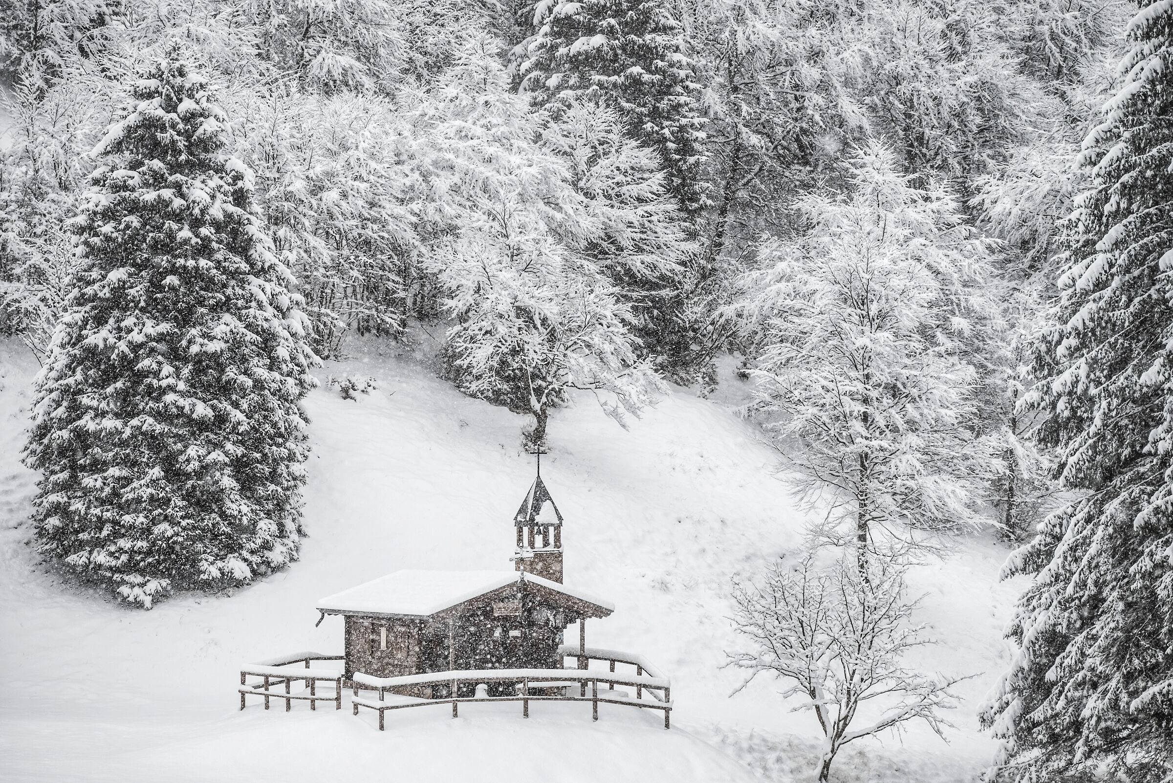 The little church in the woods