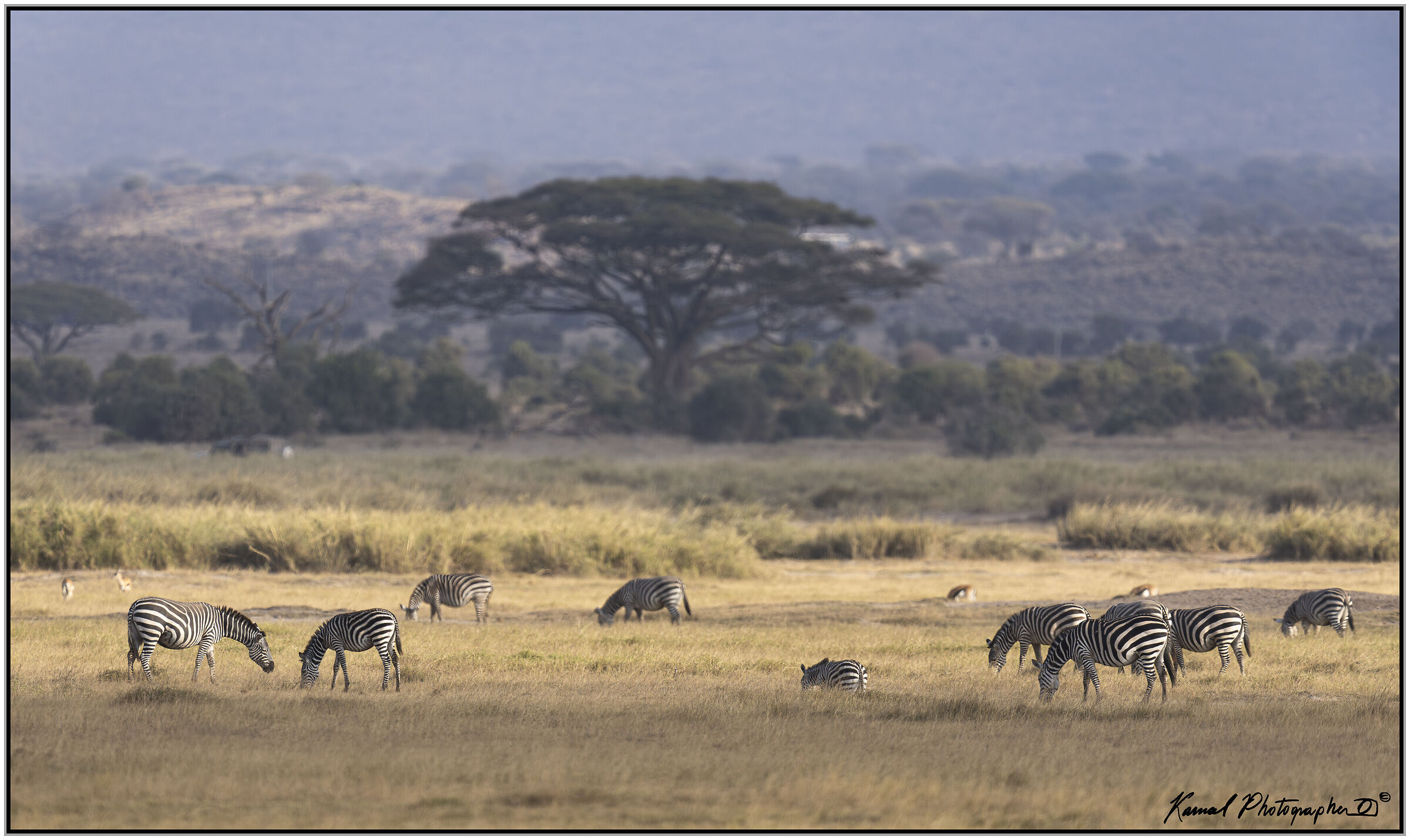 Amboseli national Park