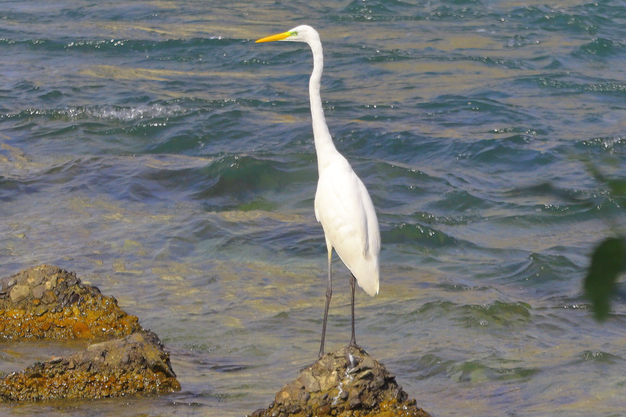 ABM settembre 2025 - 0265