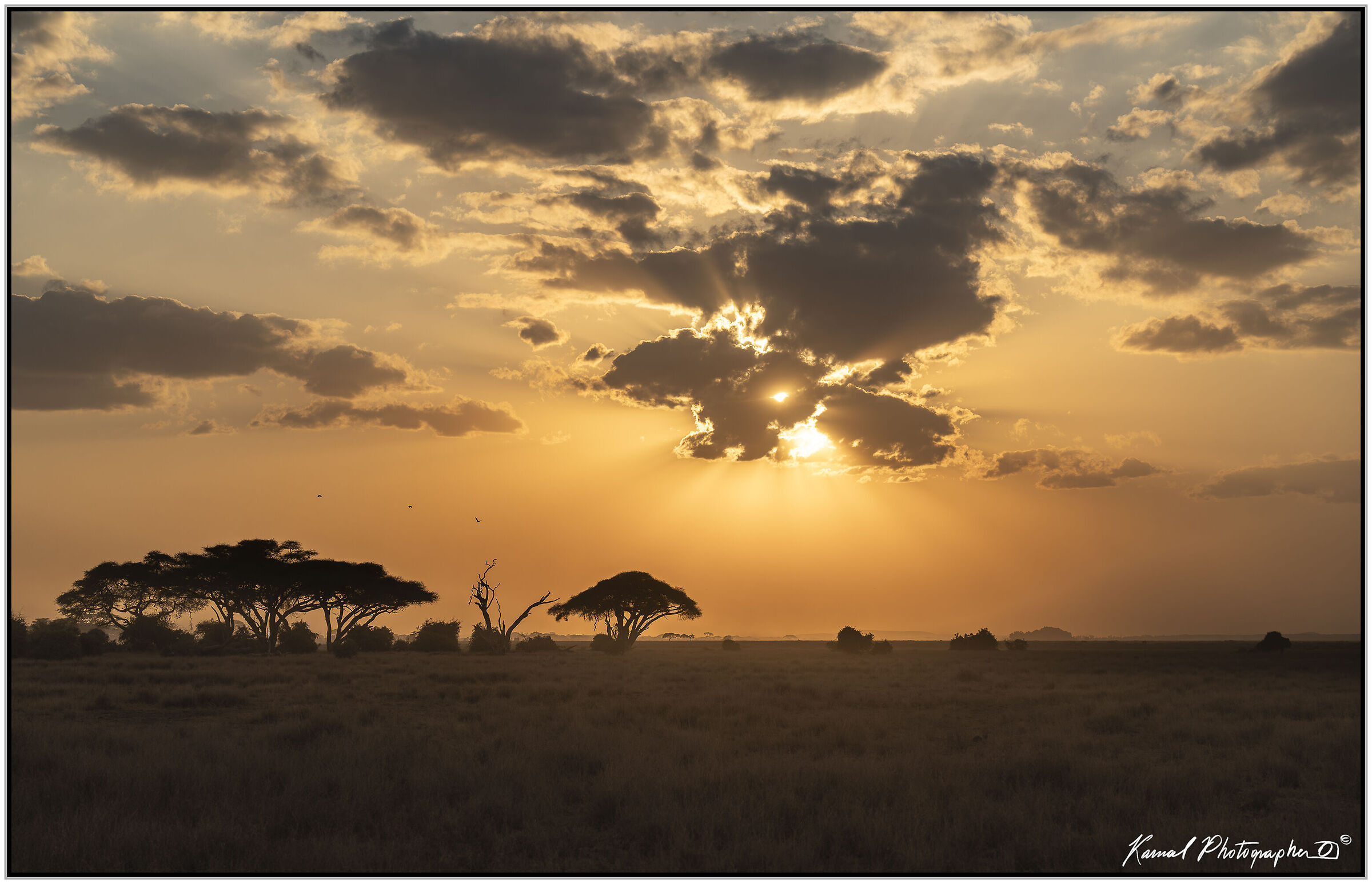Amboseli national Park