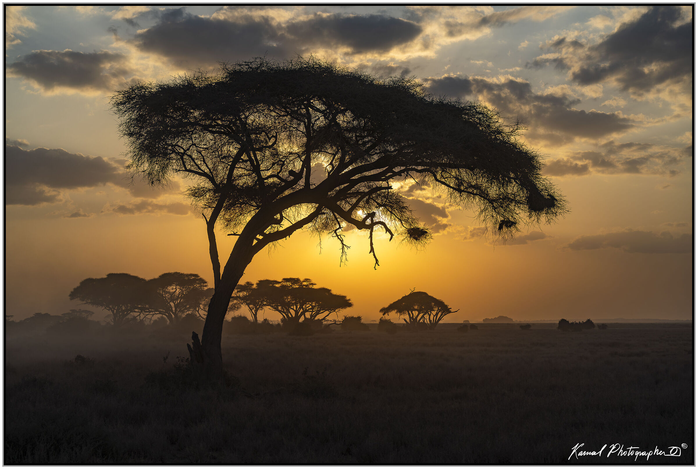 Amboseli national Park