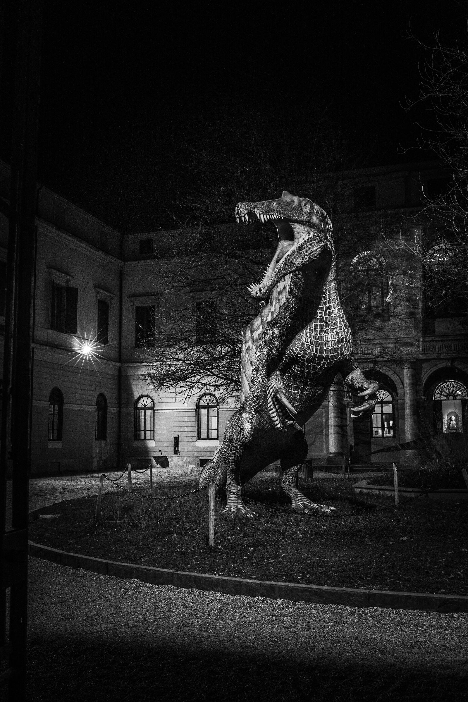 Bestia! Kosmos Museo di Storia naturale