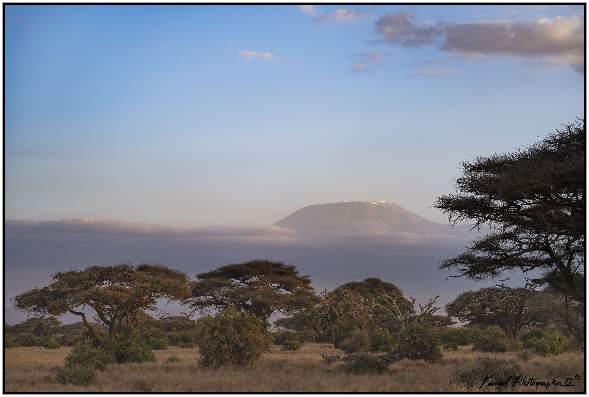 Amboseli national Park