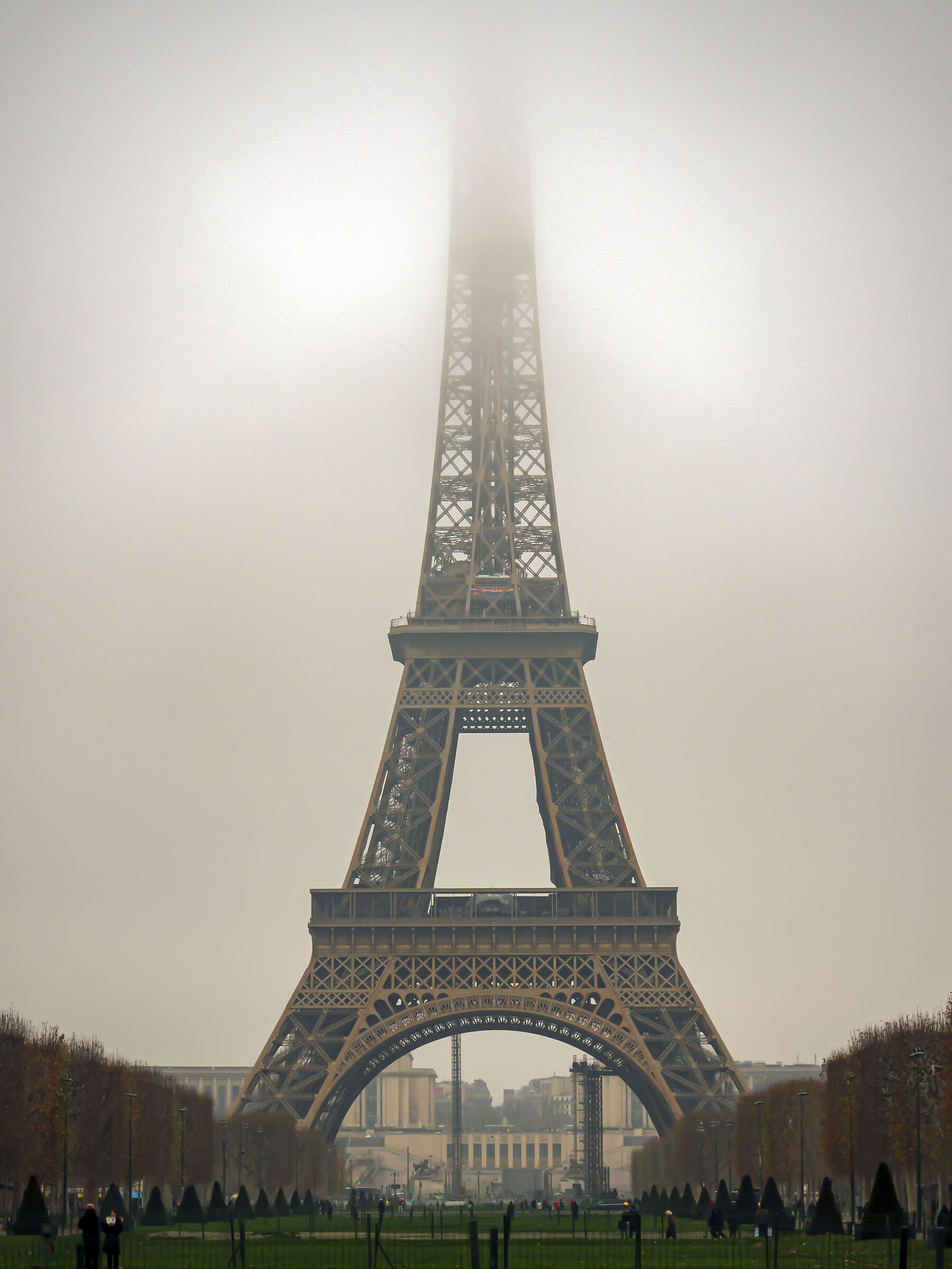 Immersed in the fog
