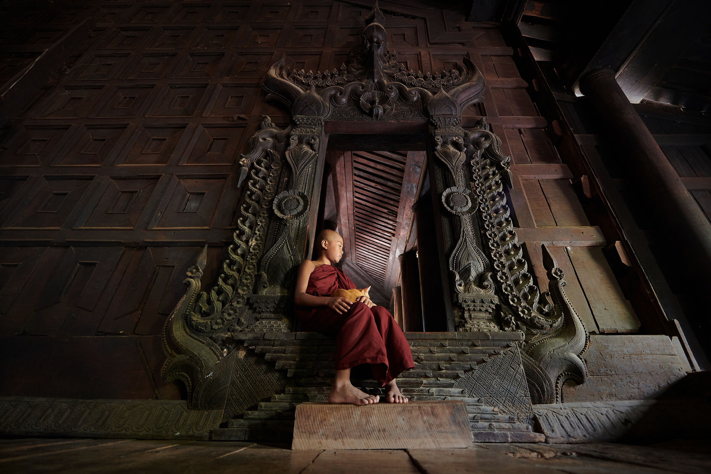 Il monaco e il gatto (Myanmar 2019)