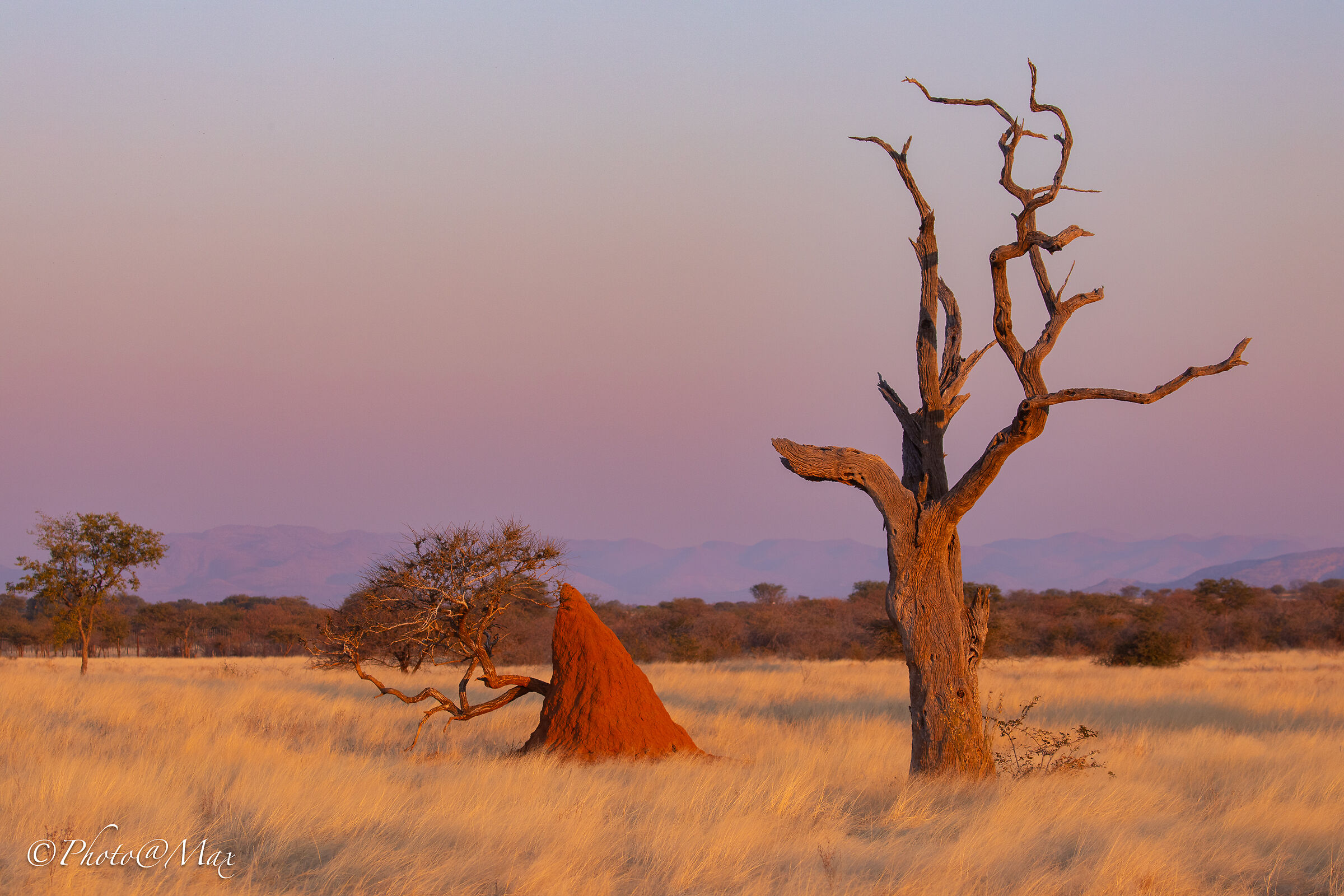 Outjo , regione del Kunene