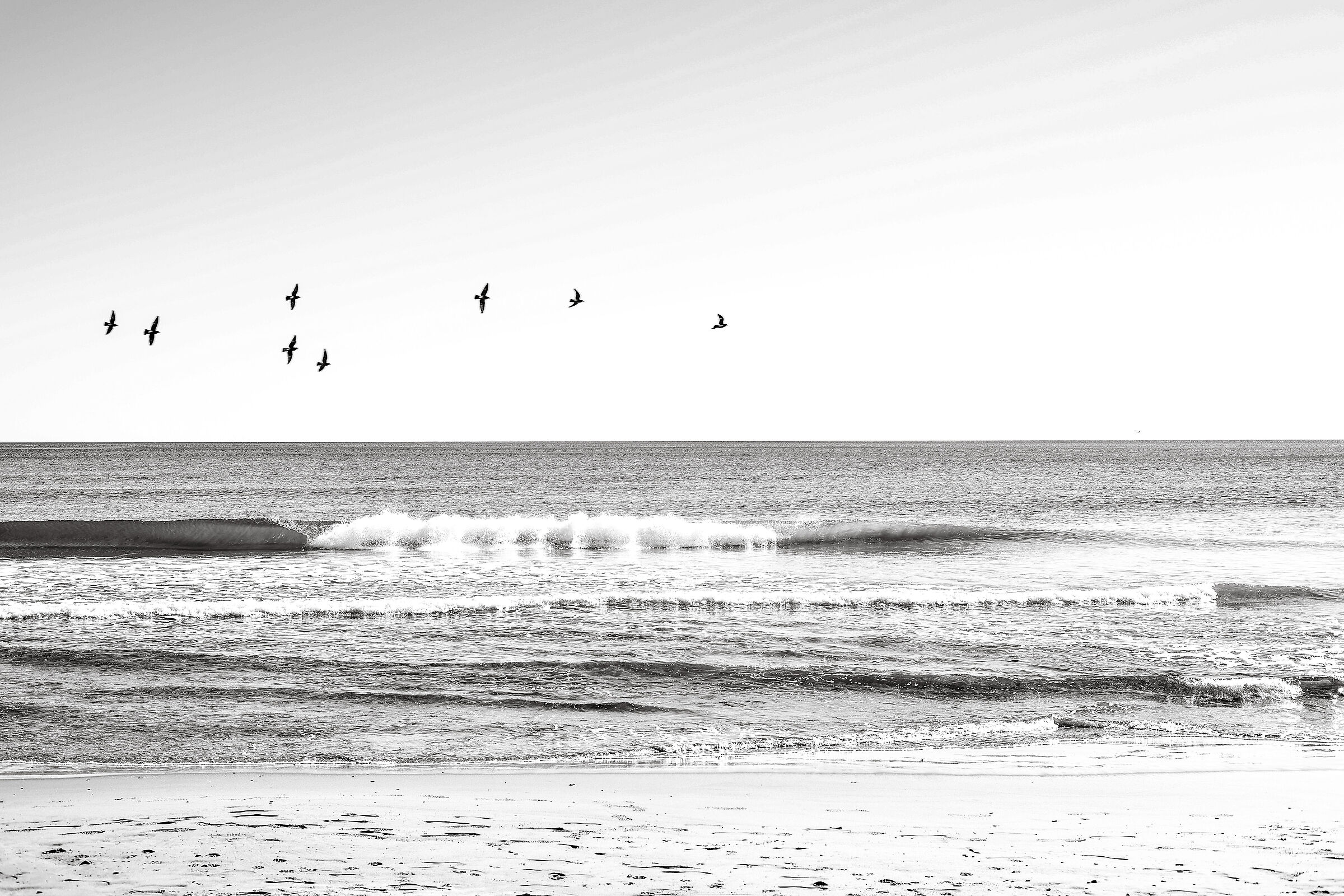Alassio 2026