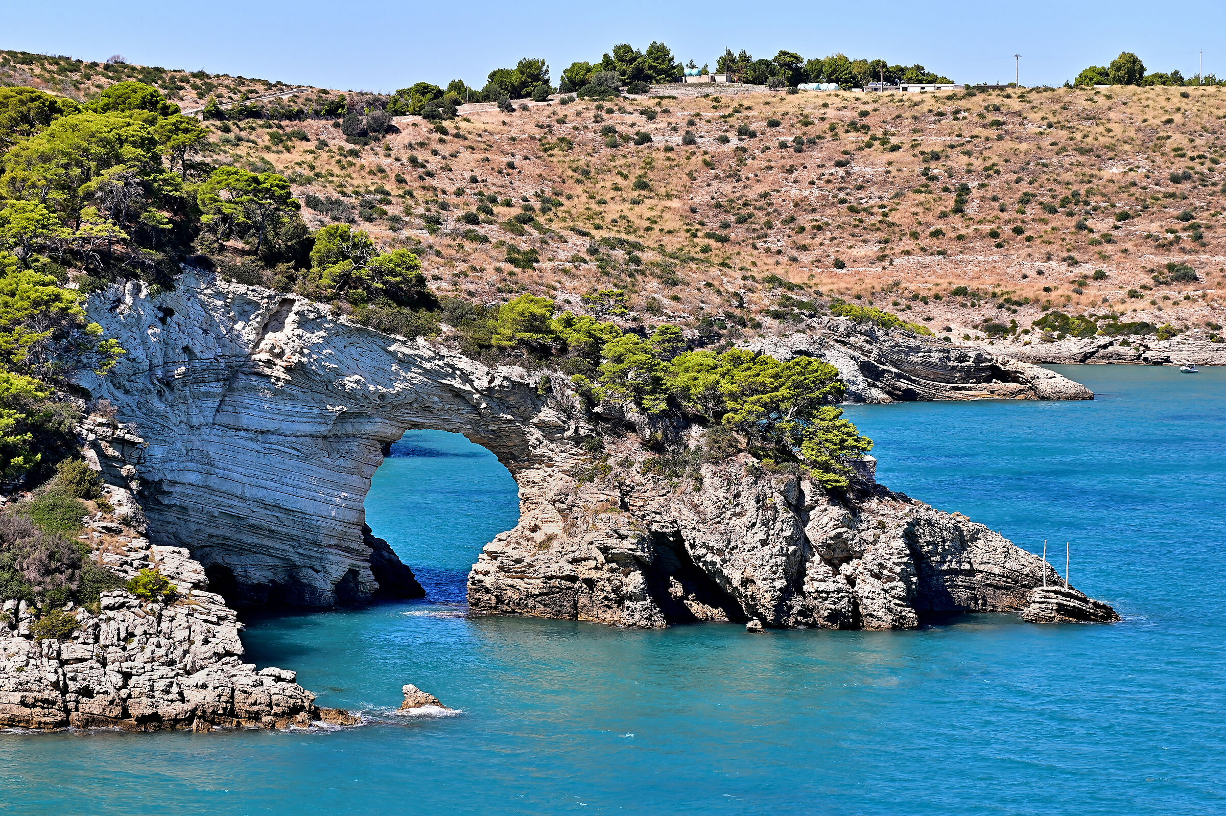Particolare della costa garganica nei pressi di Vieste.