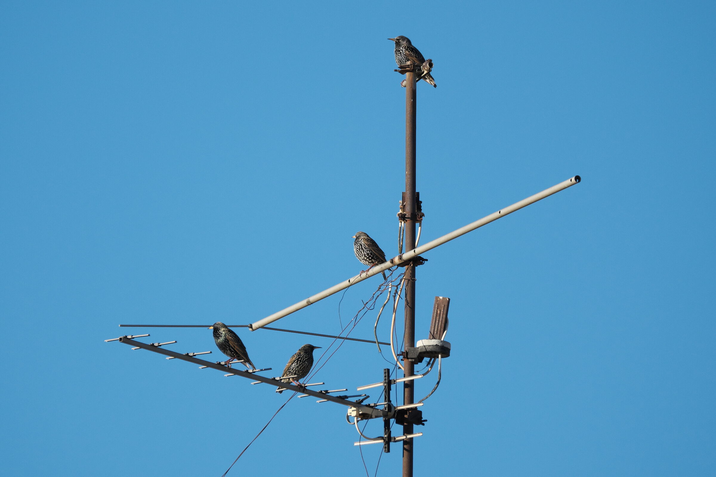 Nel blu #2... interferenze