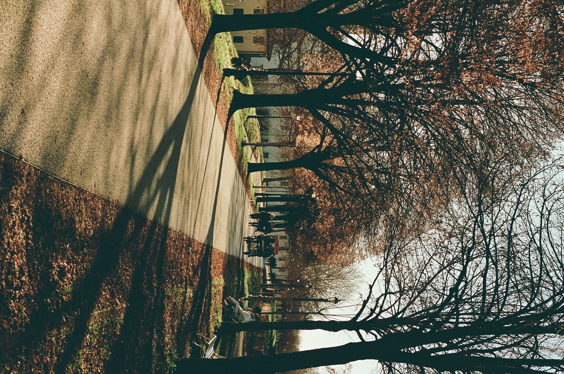 Lucca