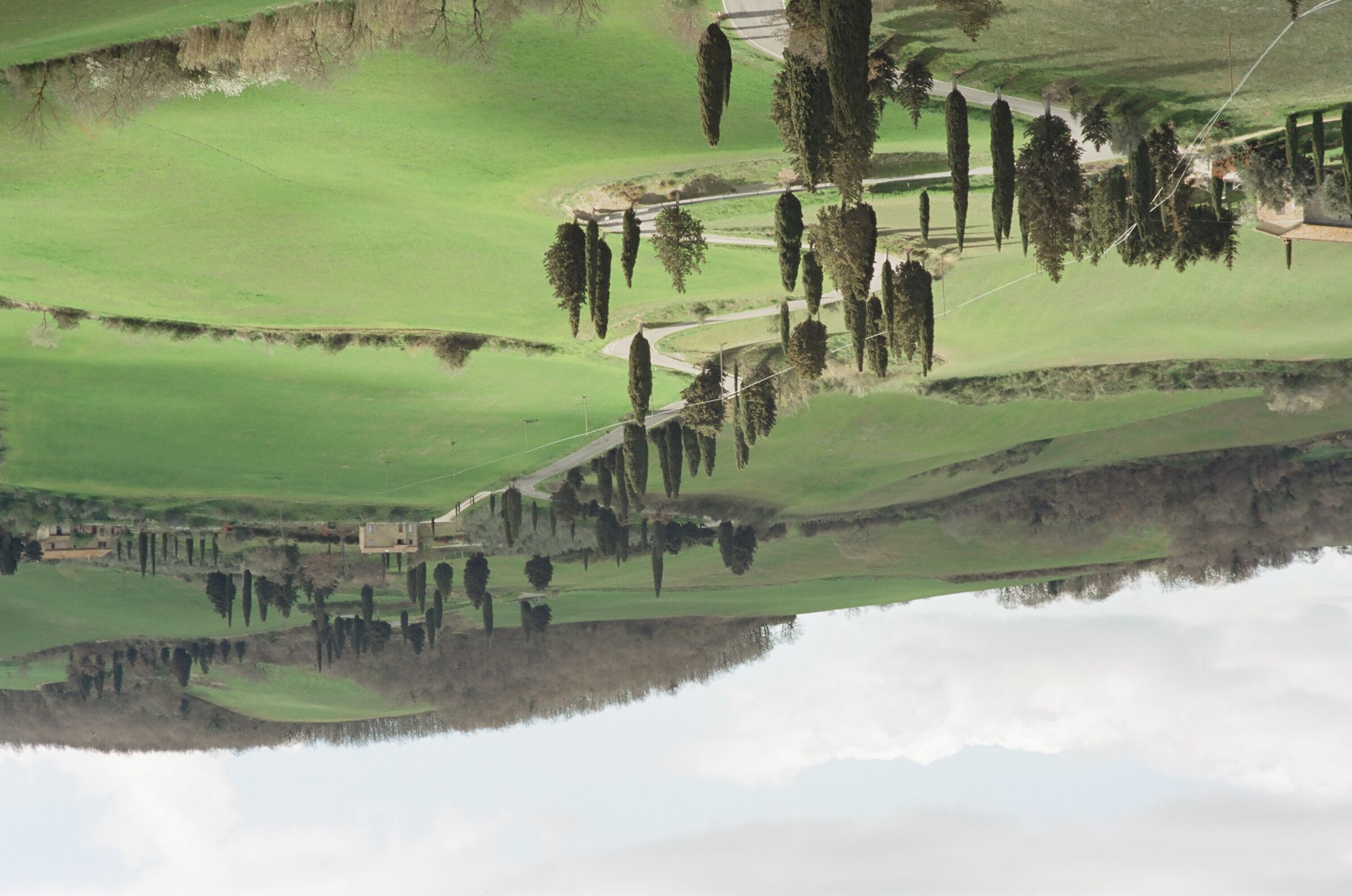 The road of the cypresses of Monticchiello