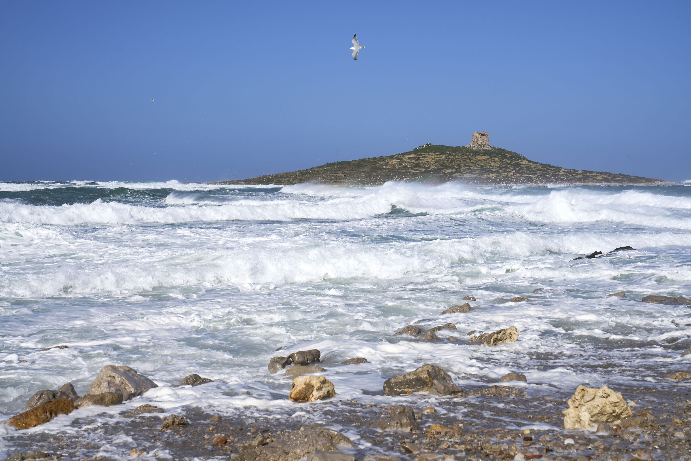 Natura in frenetico movimento