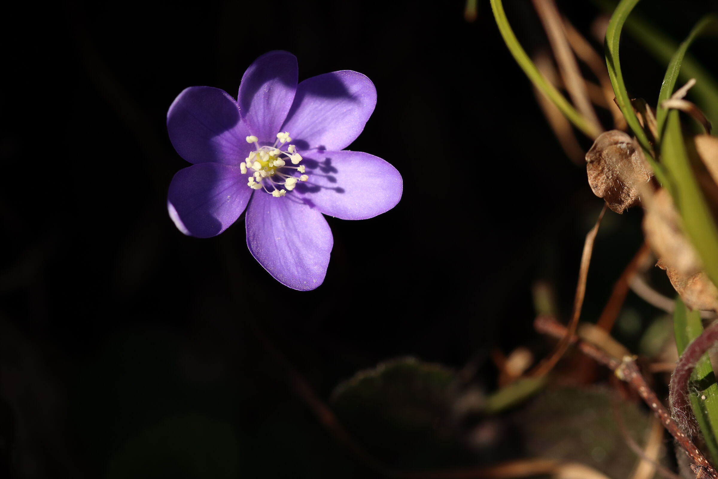 Is it already spring?