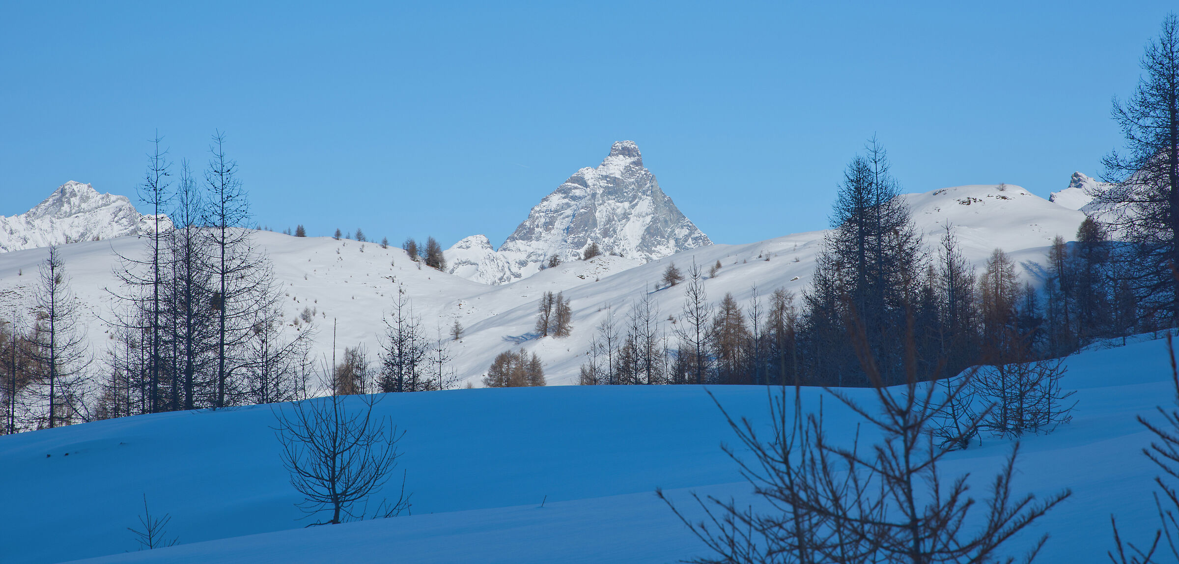 Val d'Aosta-gennaio 2024 ciaspolata Artaz-Alpe Champlon