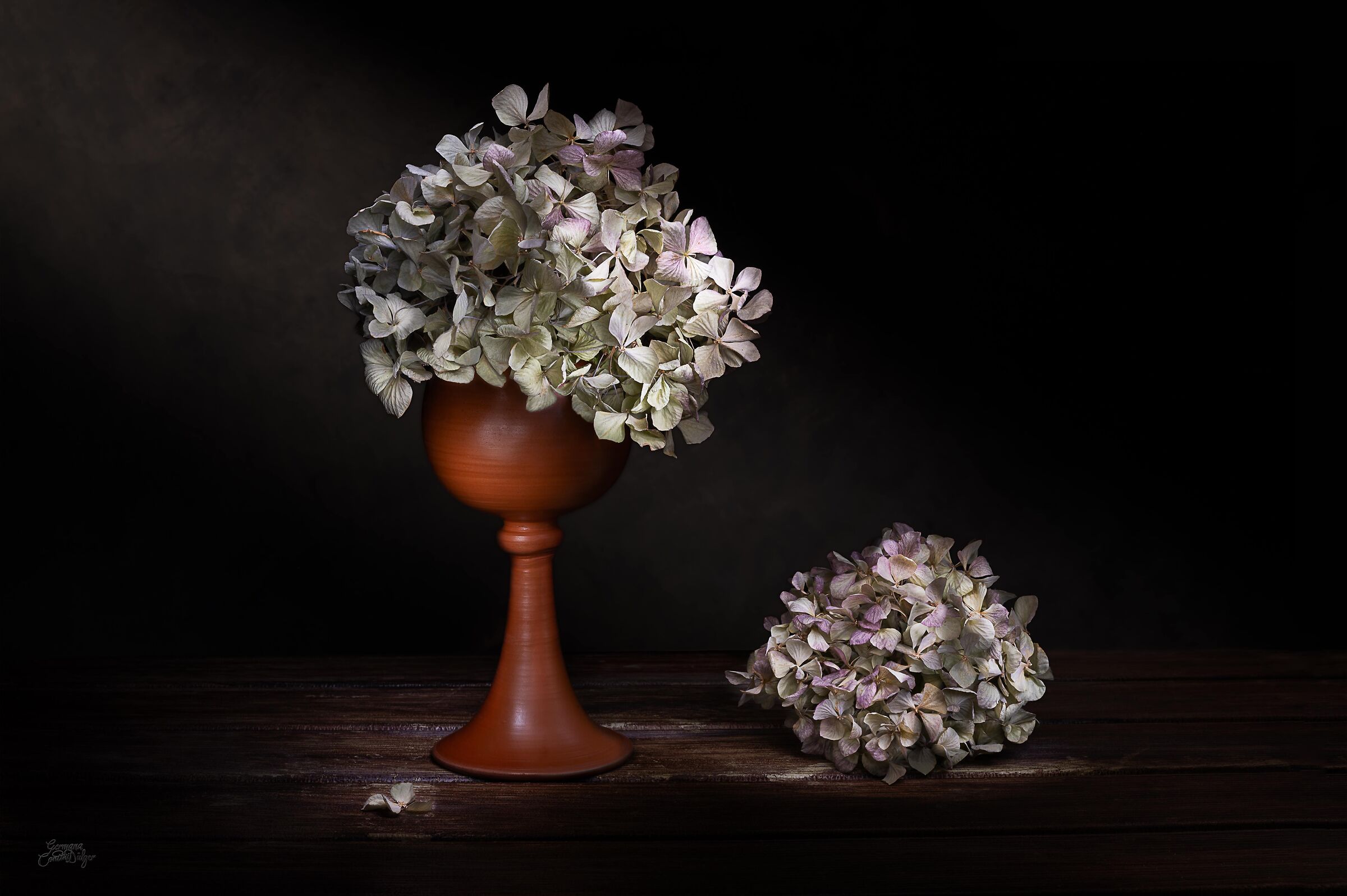 Hydrangeas and terracotta goblet