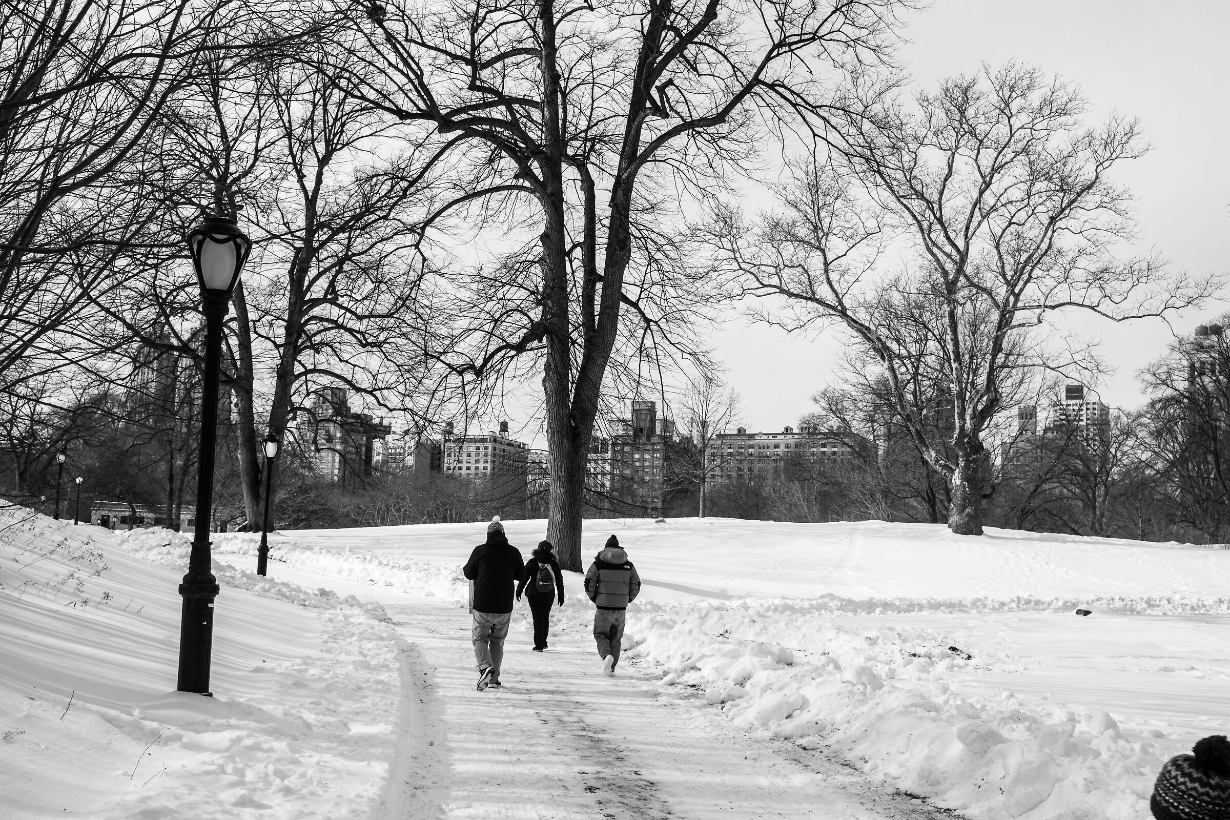 Central Park