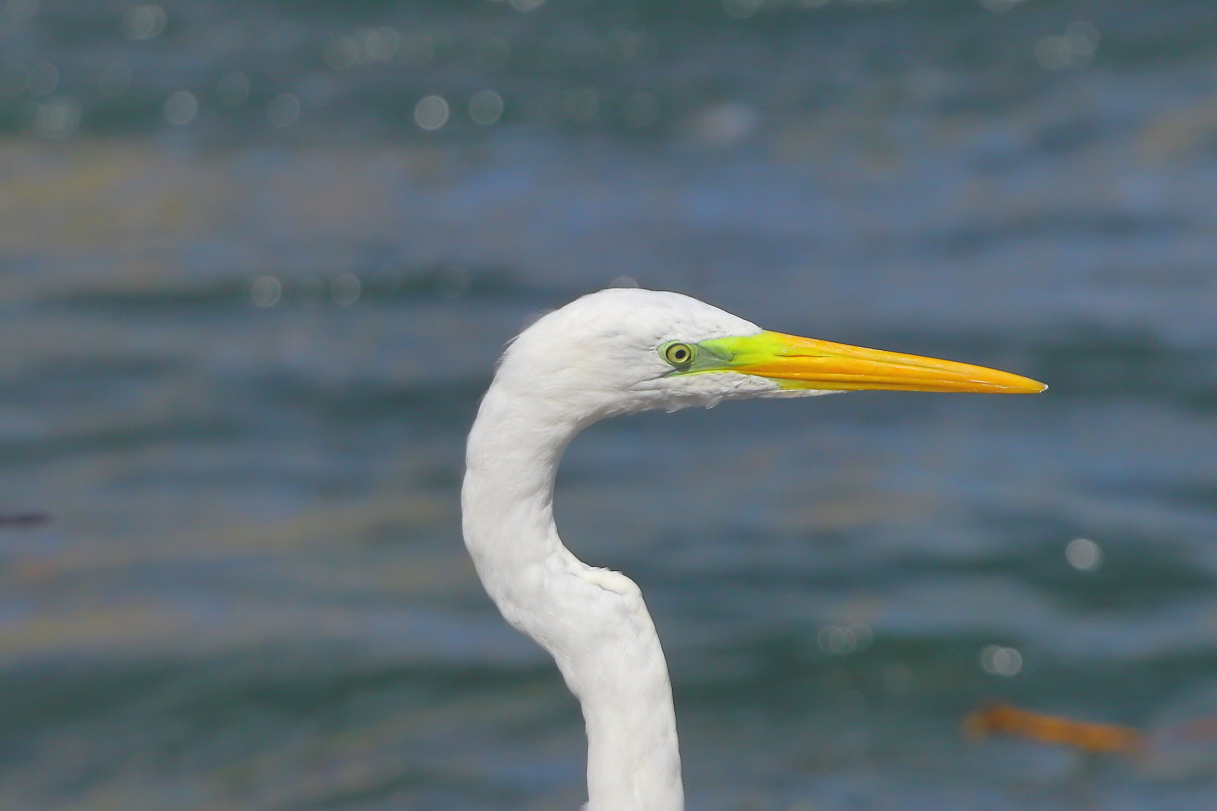 ABM settembre 2025 - 0273