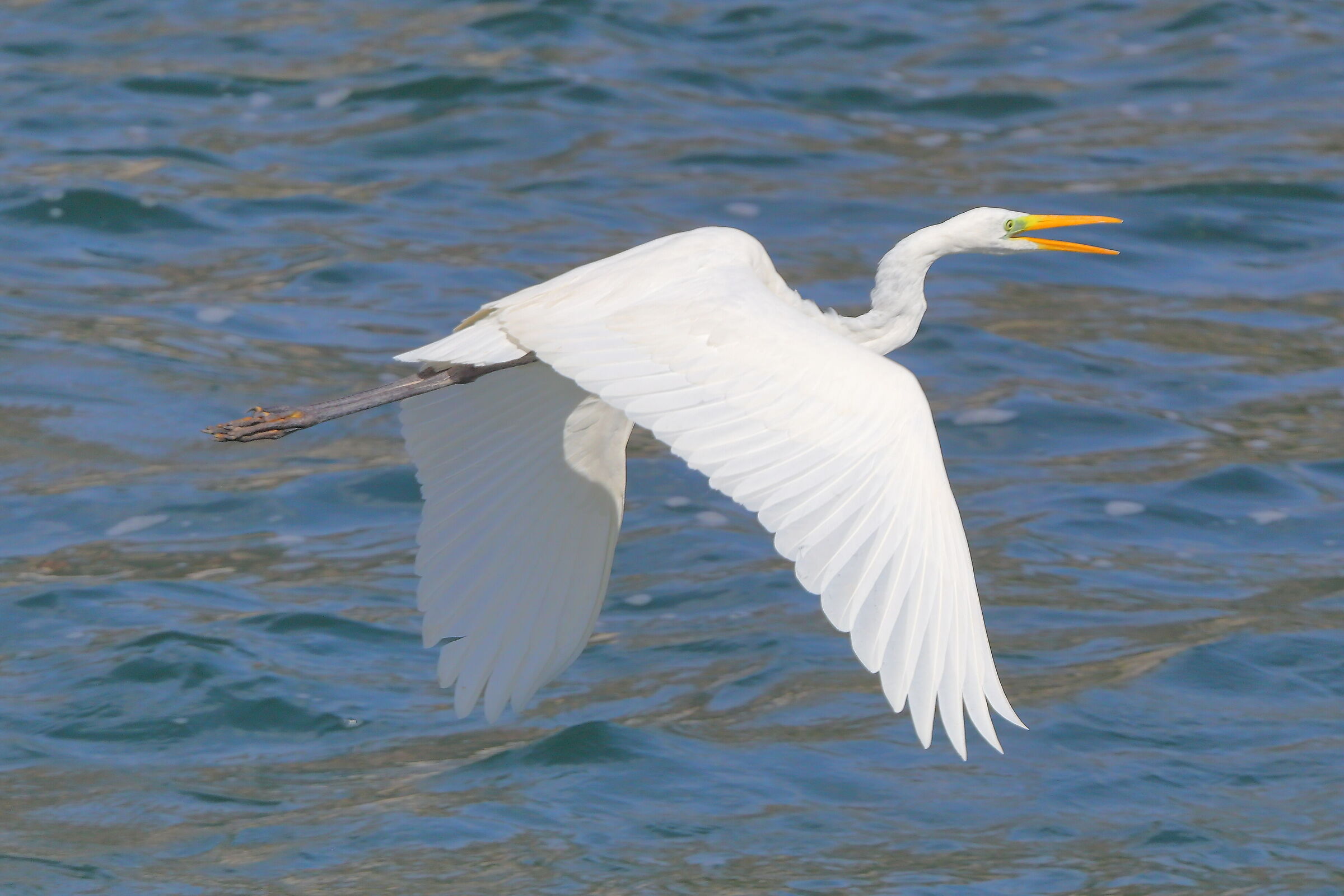 ABM settembre 2025 - 0279