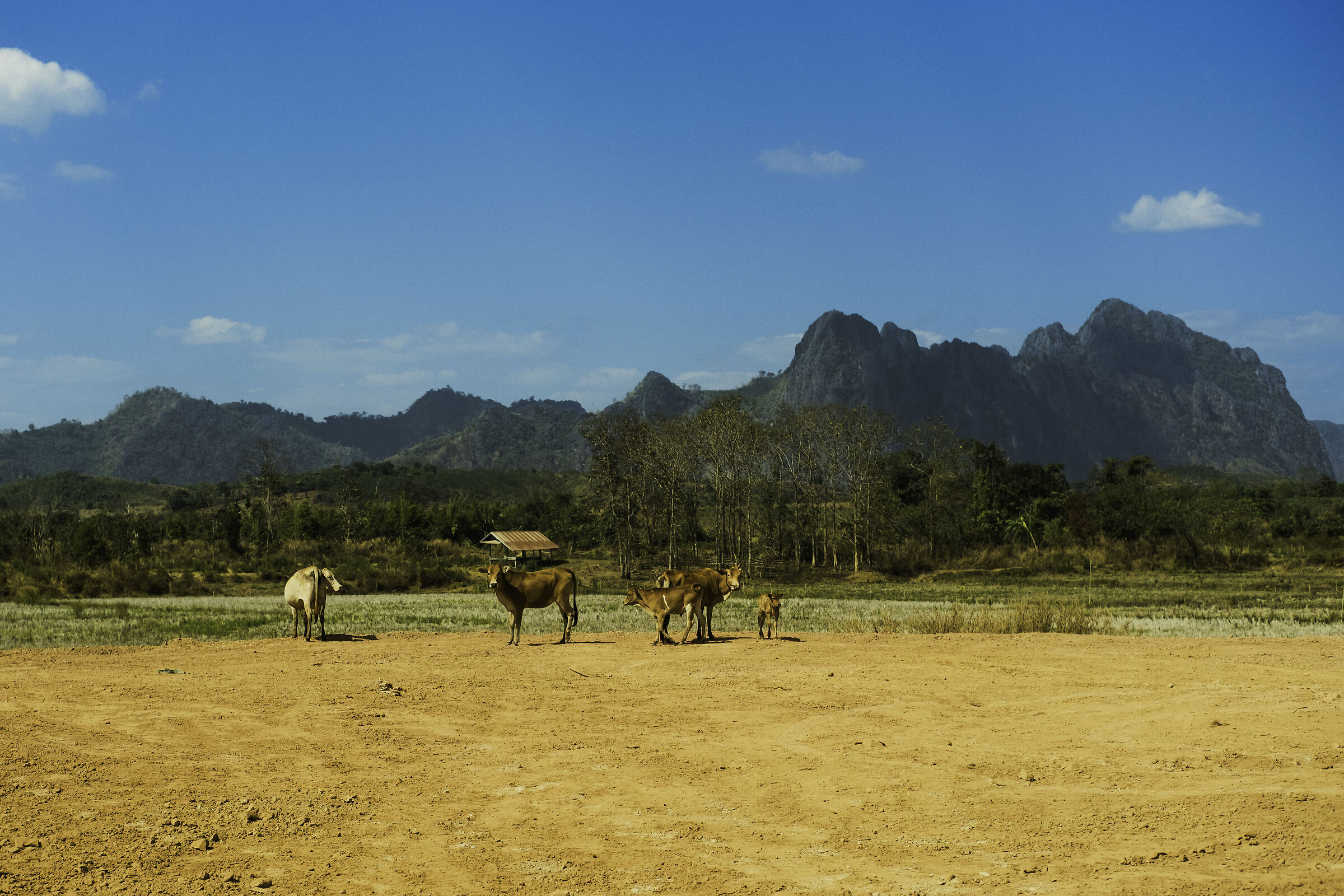 Laos 1