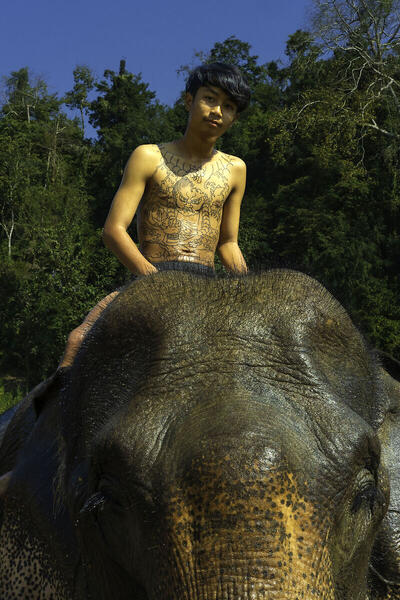 Foto