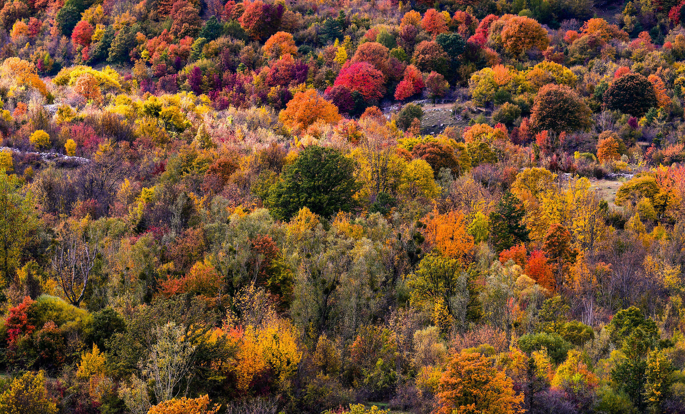 Tavolozza colori parco Nazionale d'Abbruzzo