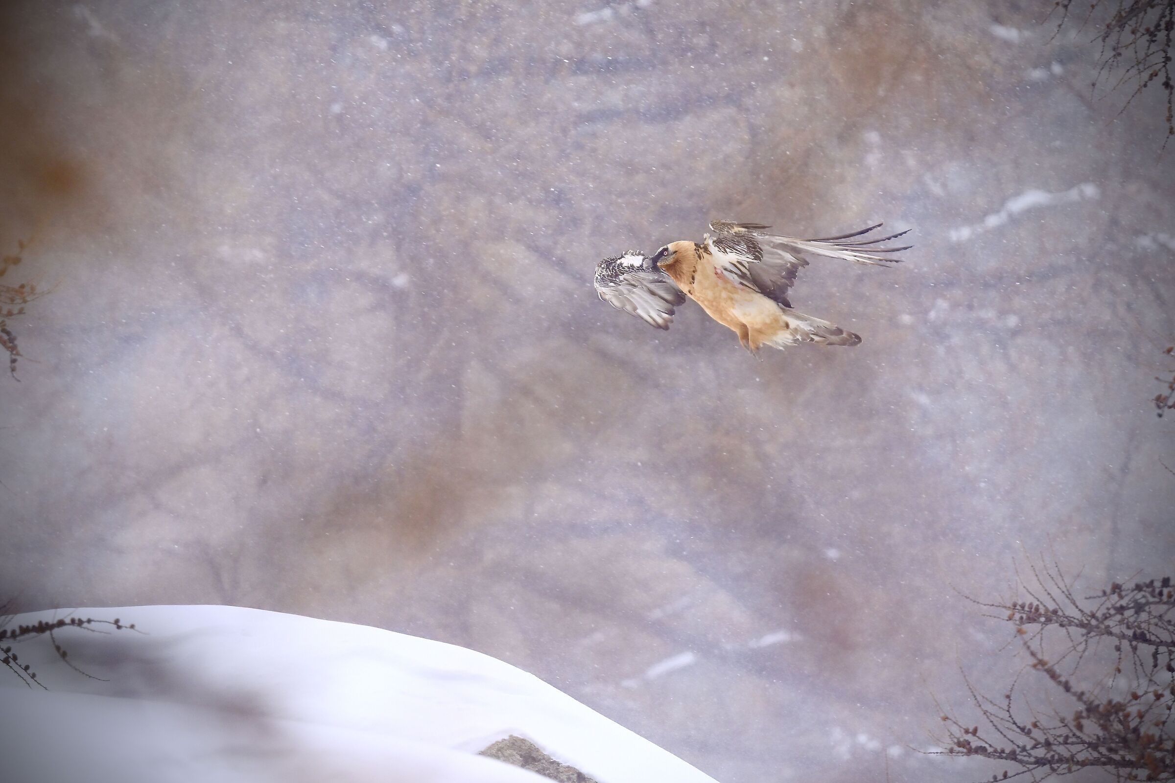 Landing in the storm
