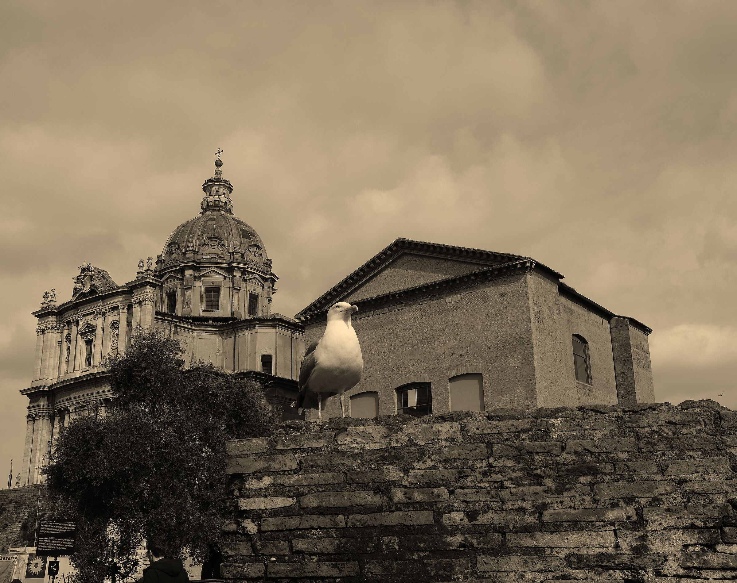 the guardians of ancient Rome