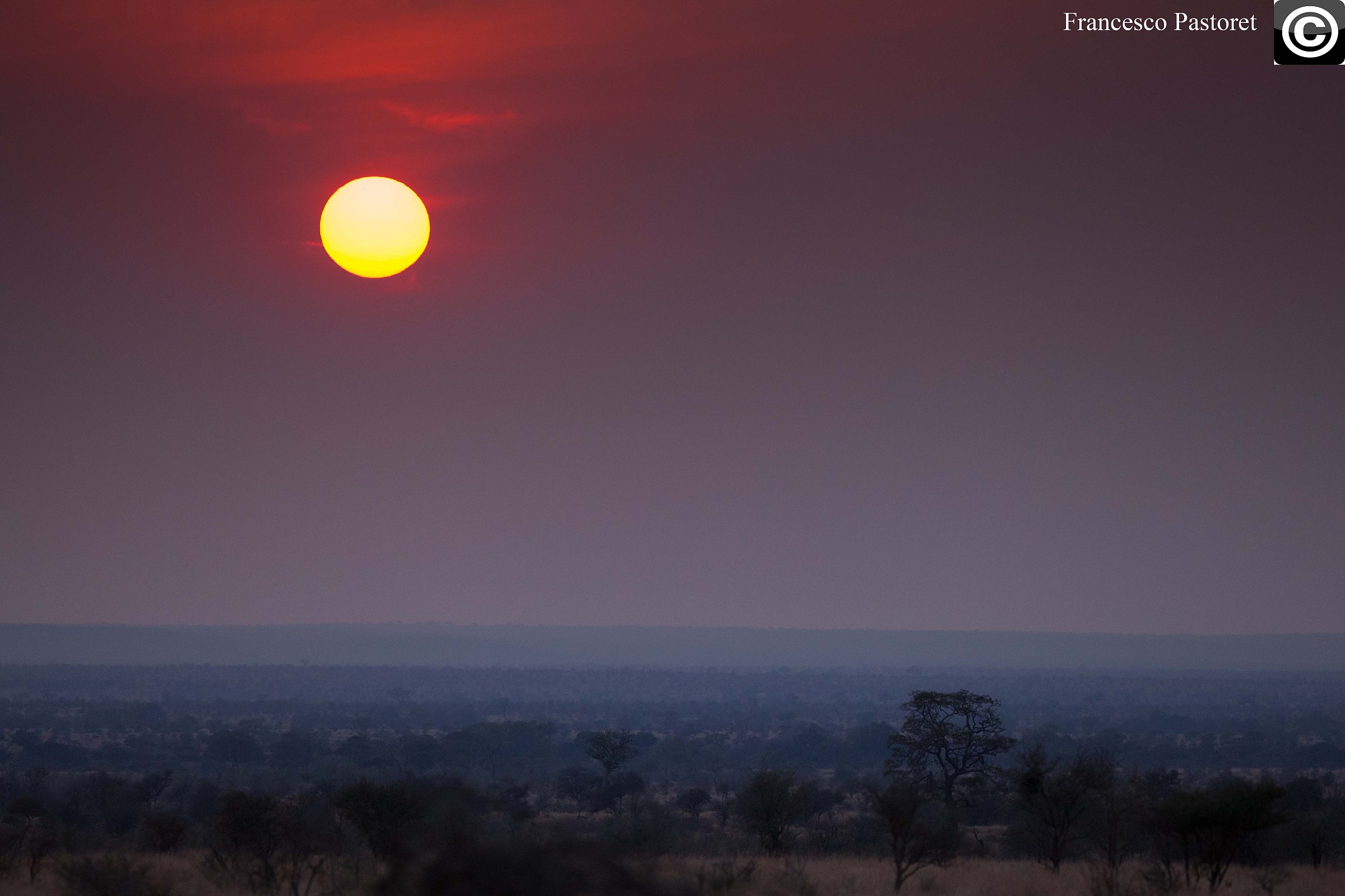 The savannah of the Kruger Nationa Park