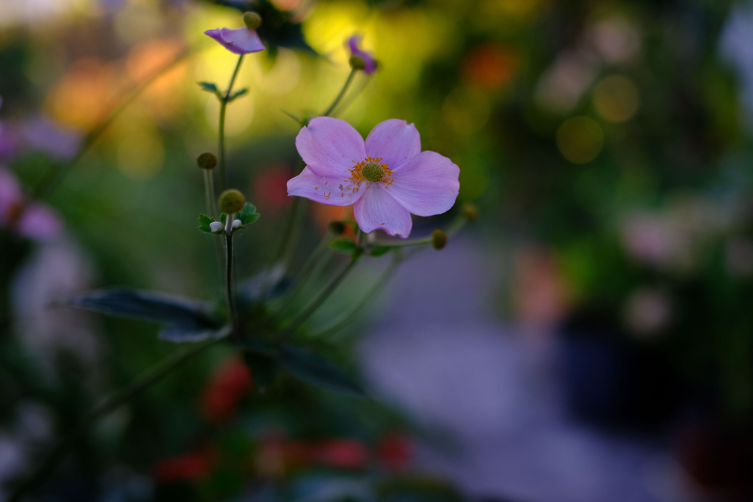 Untitled Photo
