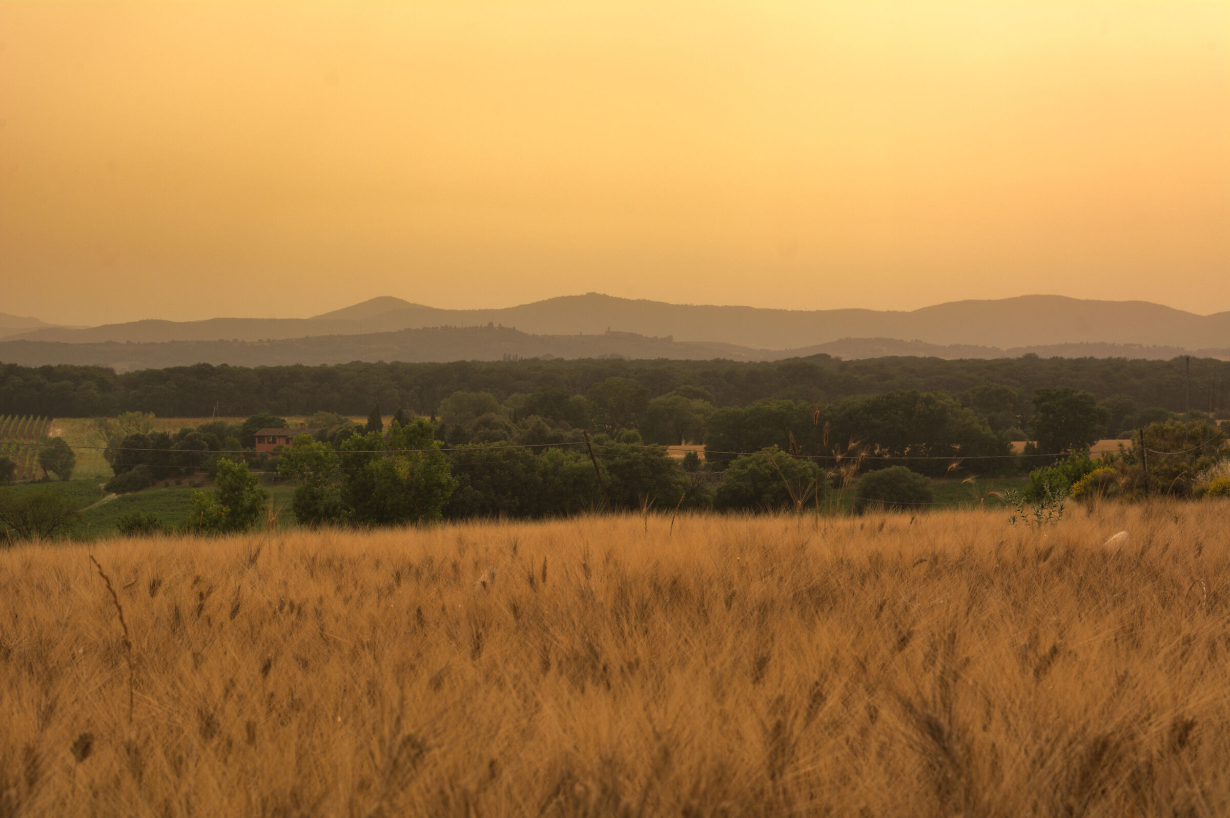 Umbrian Countryside