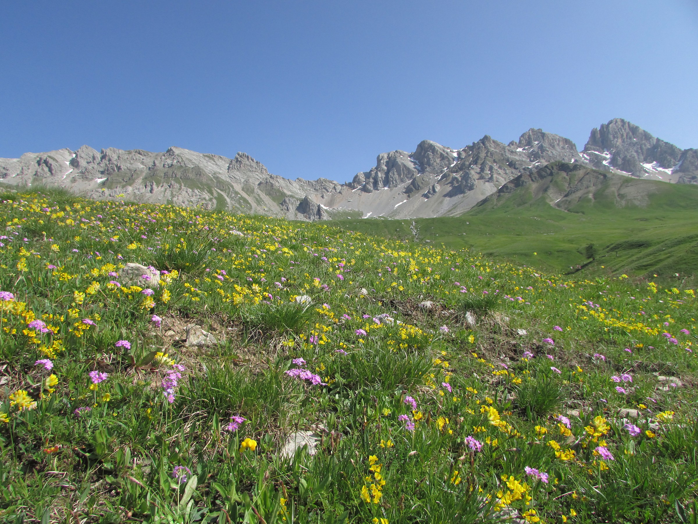 Gruppo Cima Uomo al Passo San Pellegrino