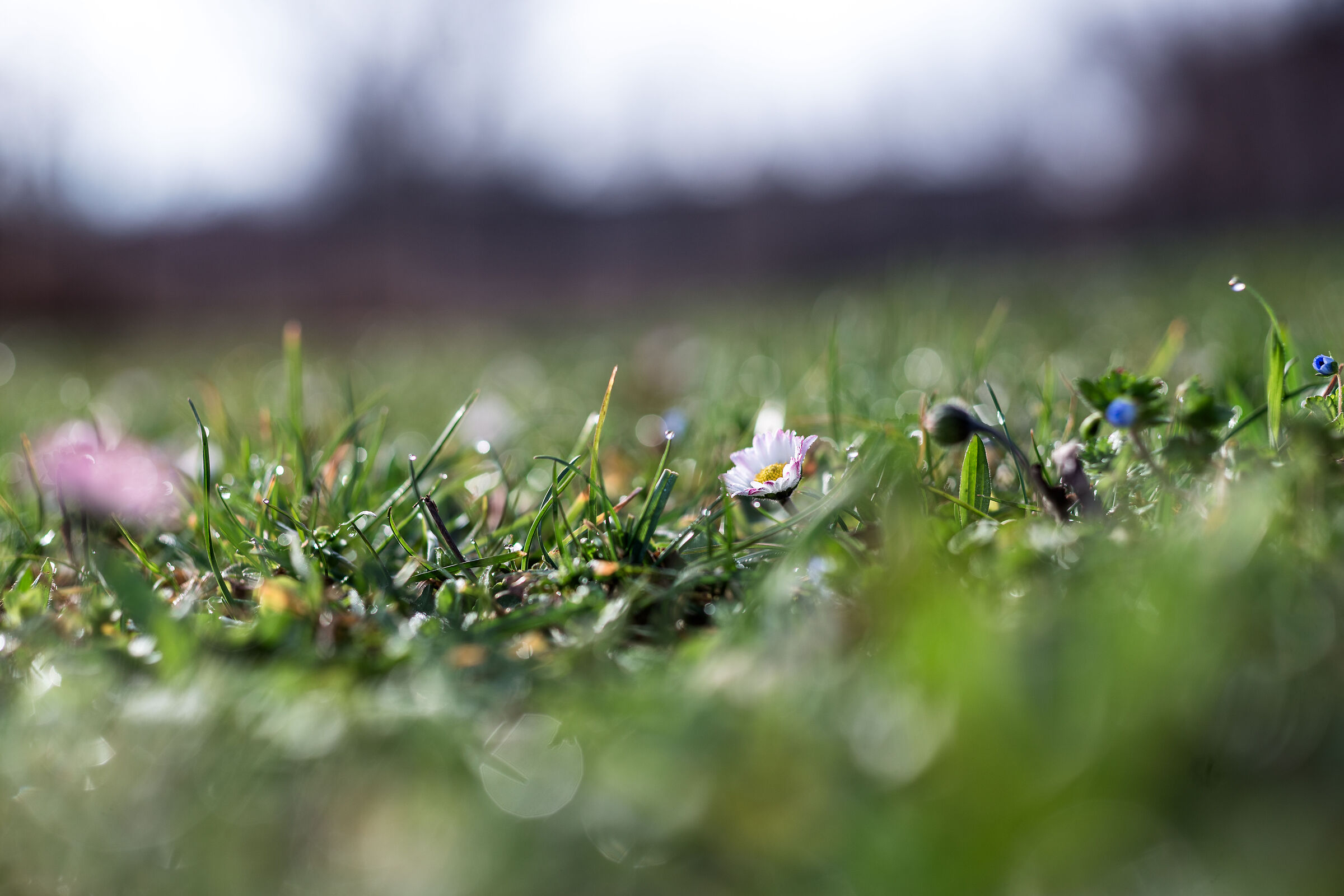 Is that you, Spring?