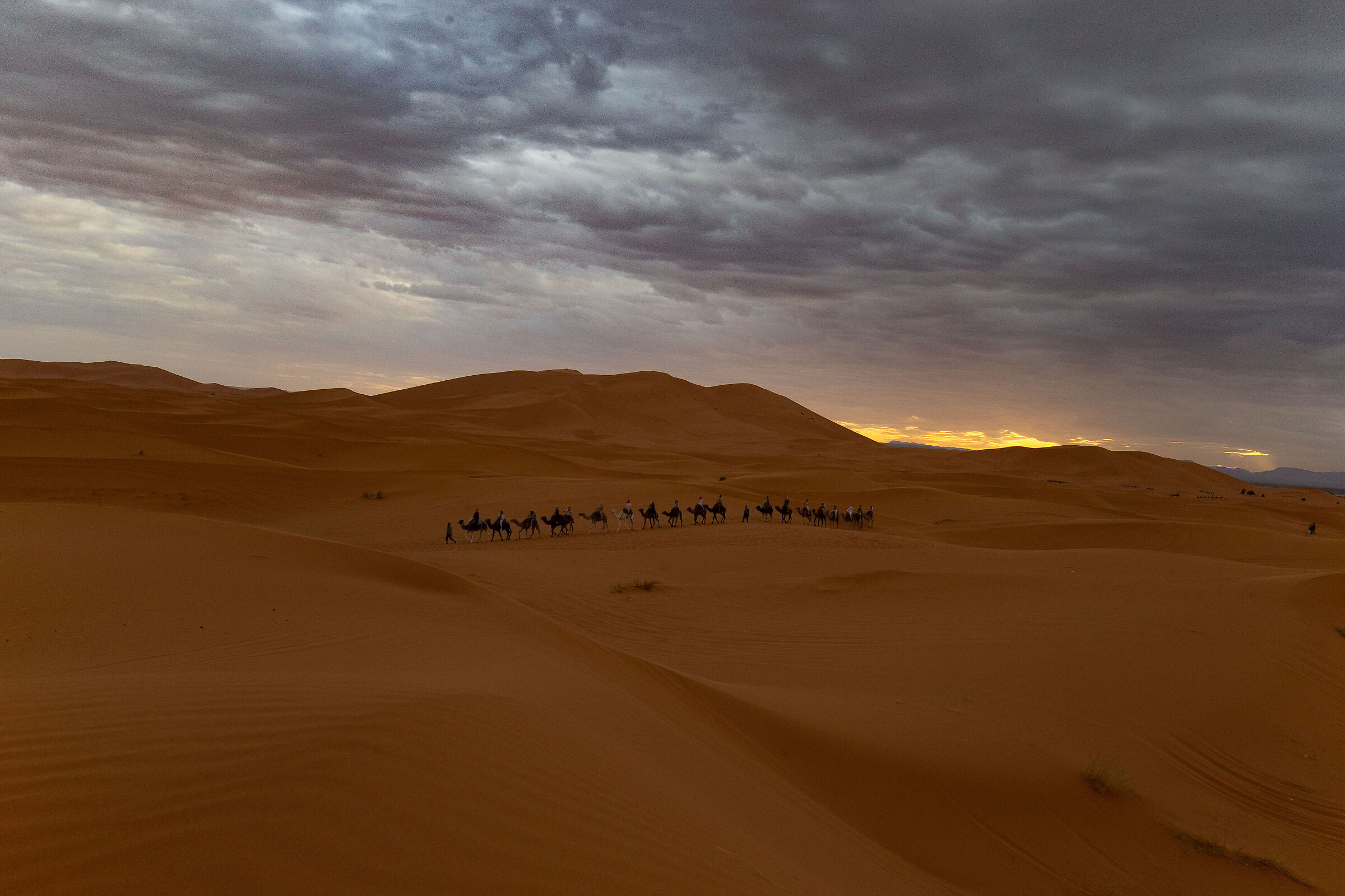 Carovana nel deserto
