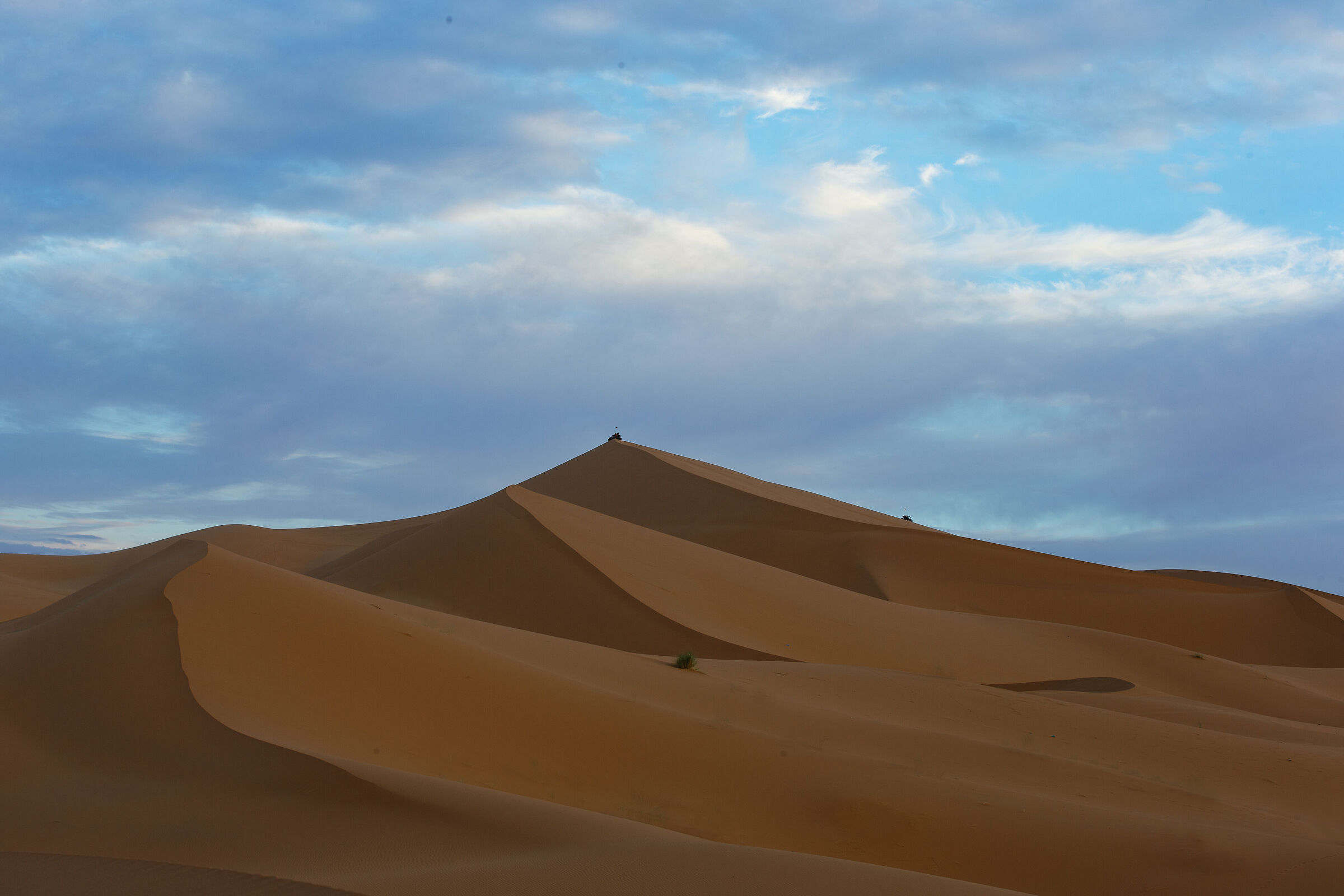 Due squad nel deserto