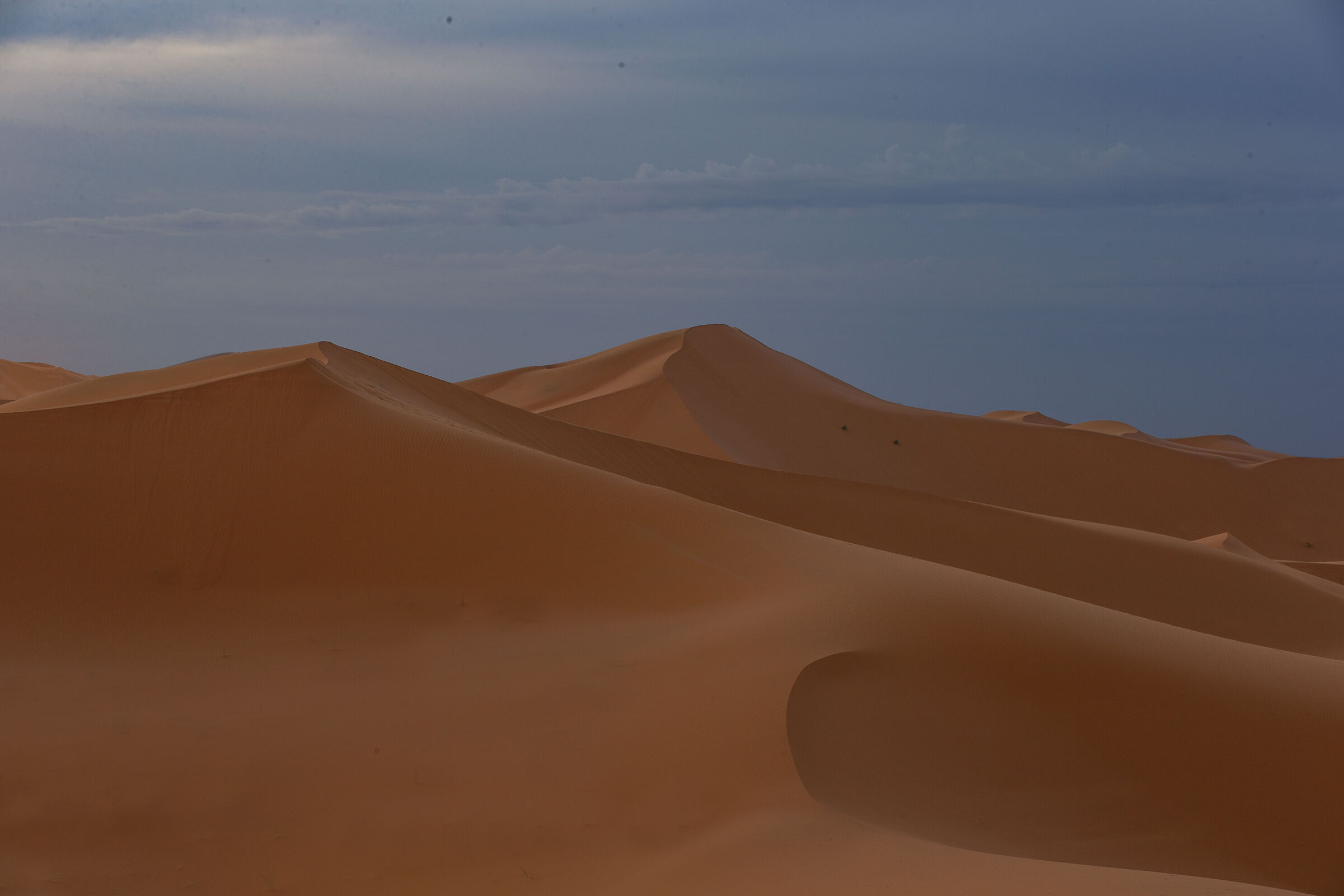 Onde e Creste del deserto 1