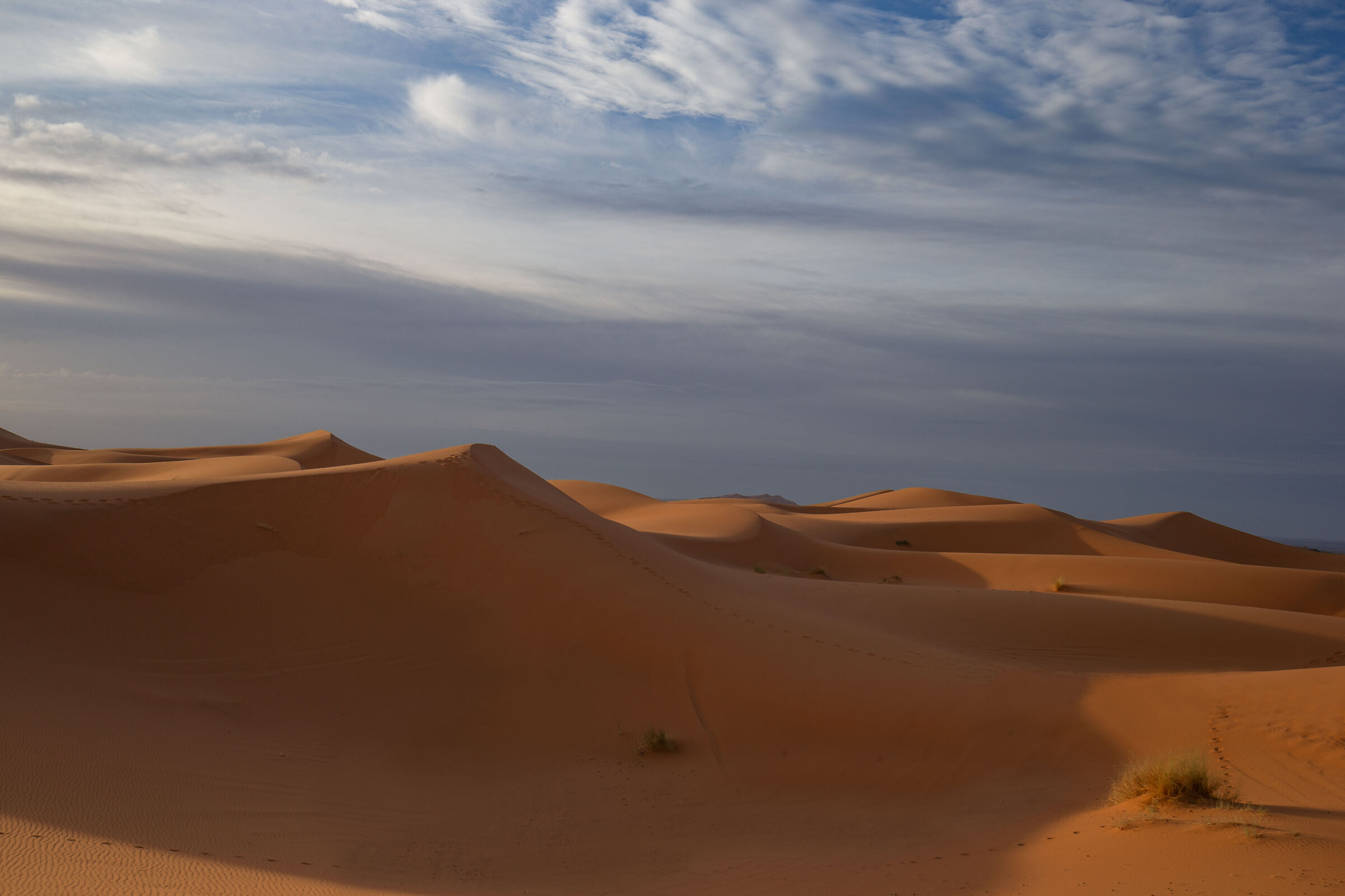 Onde e creste del deserto 3
