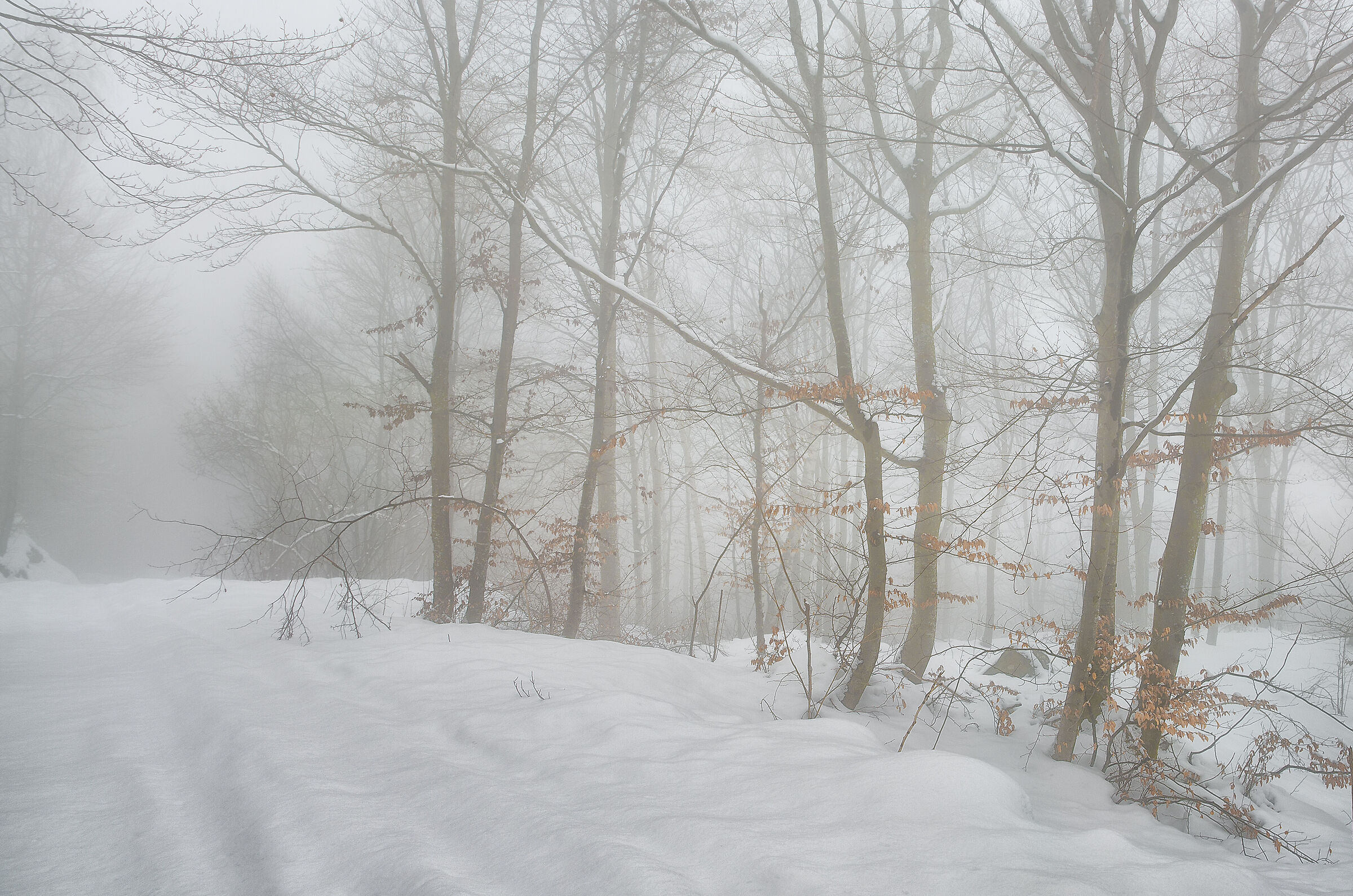 Winter silence