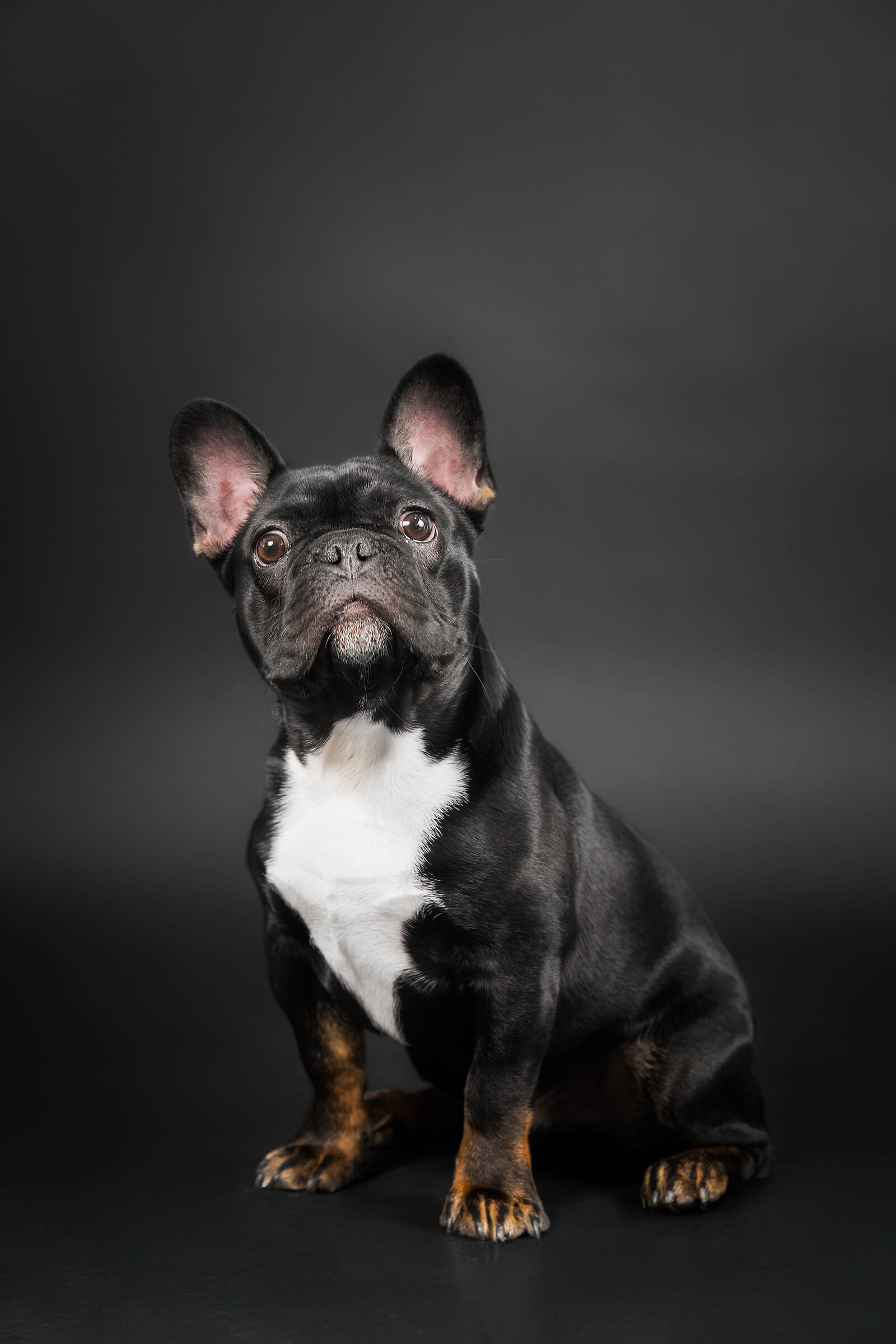 Pako