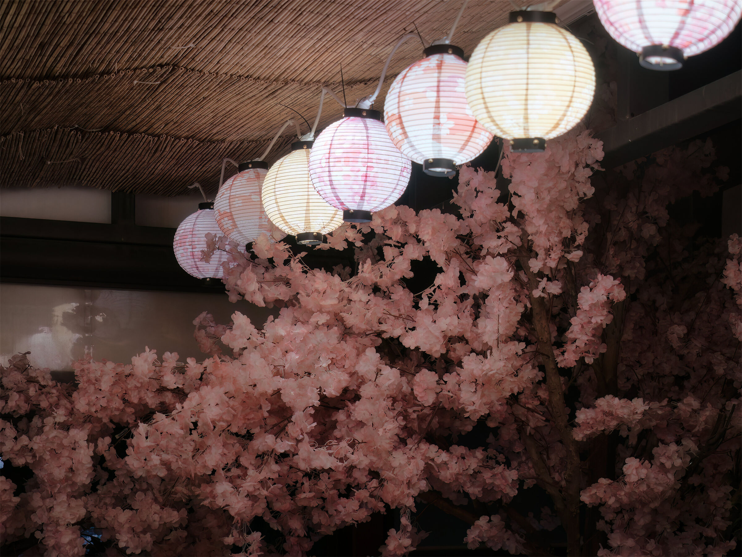 Untitled Photo