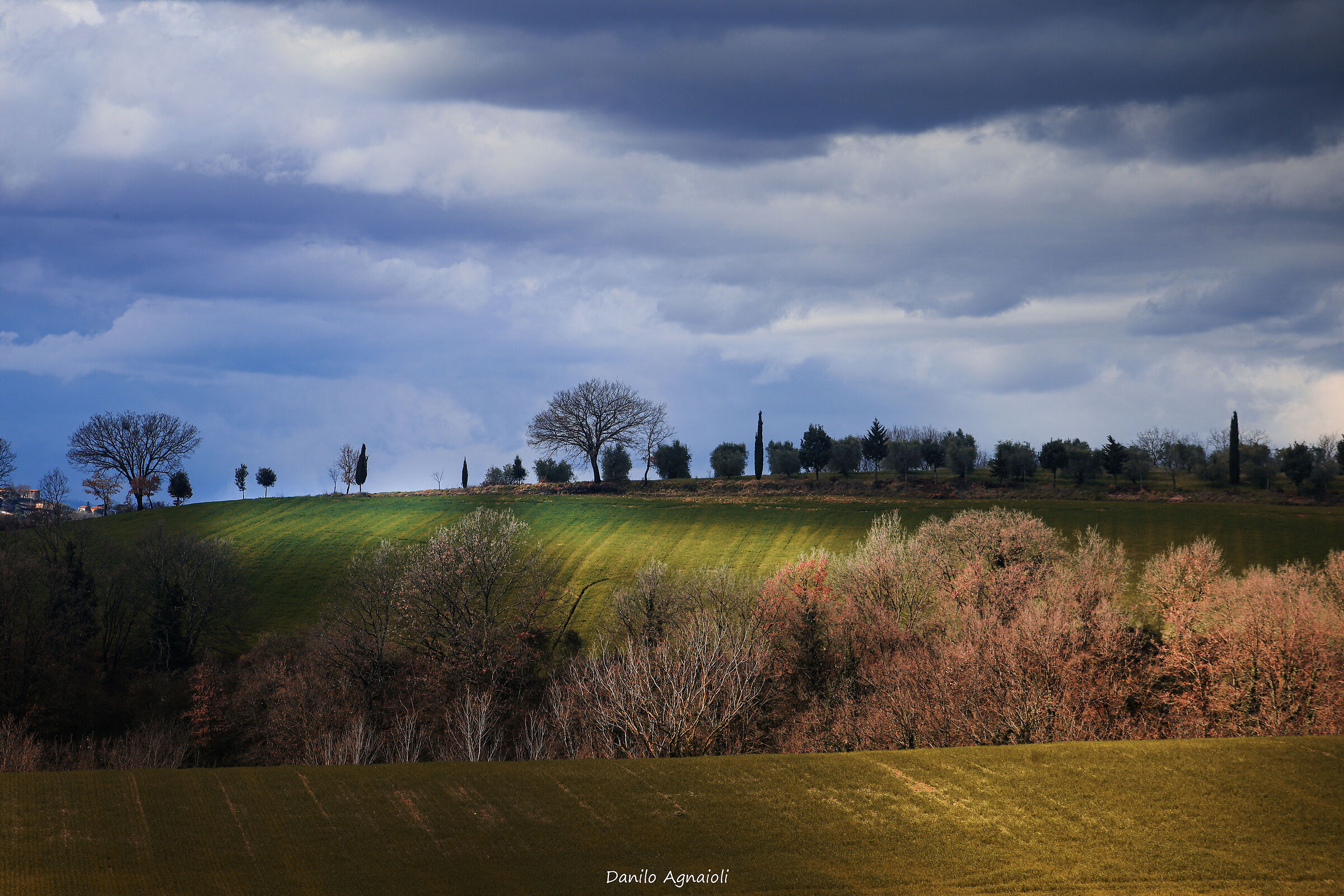 Caresses of light in the hills