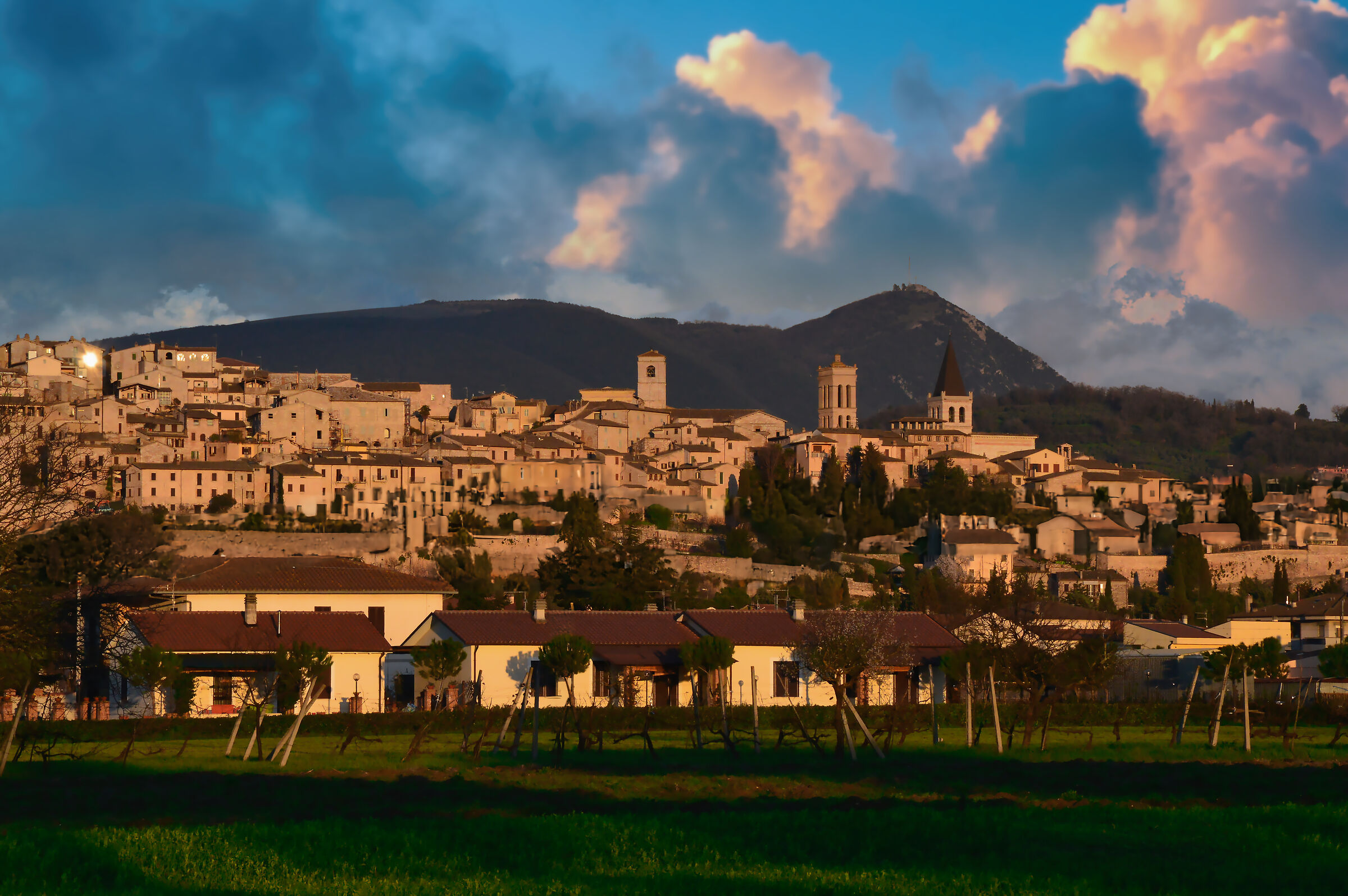 Il Nuovo, Il Vecchio e l'Antico