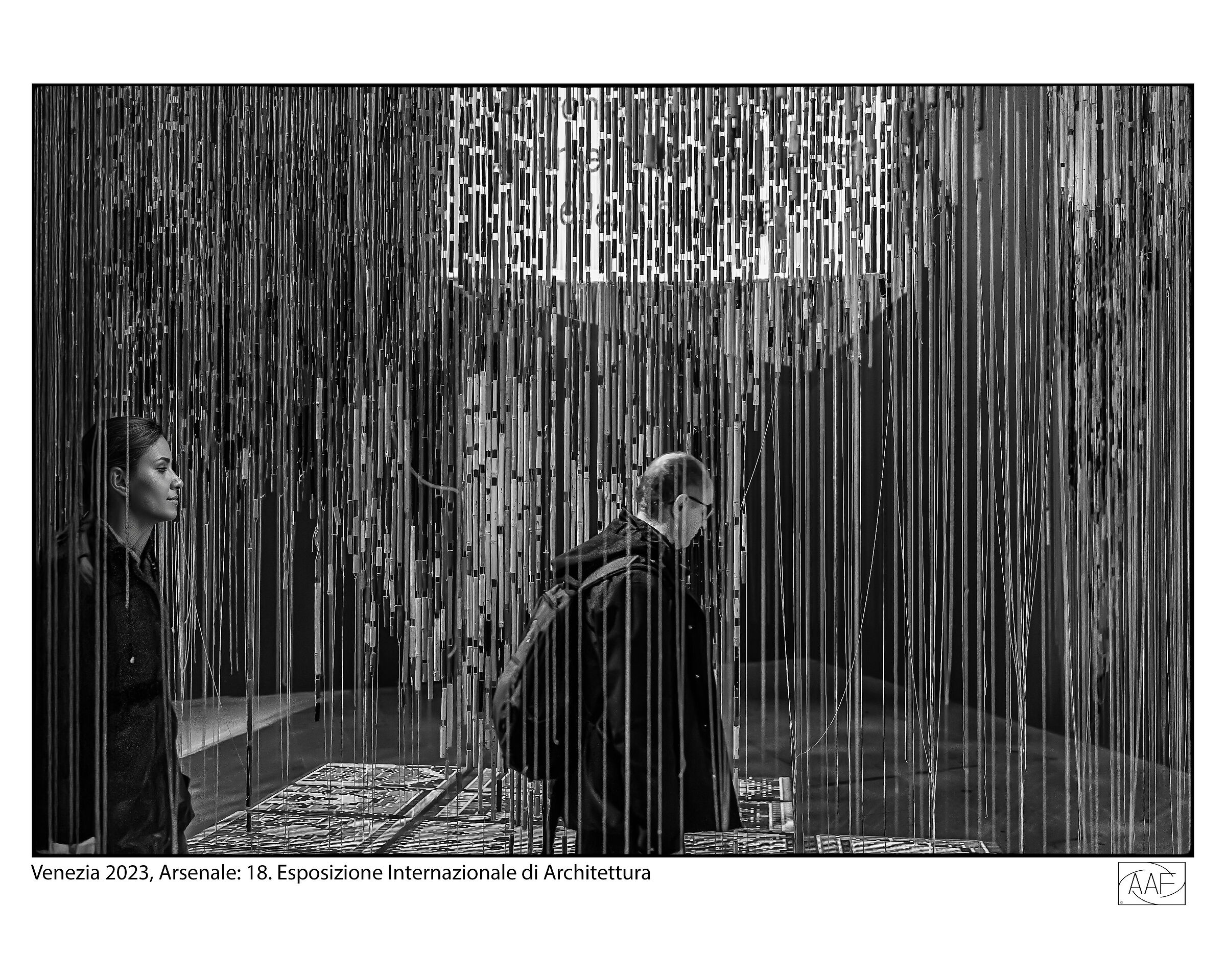 Venezia 2023, 18.Biennale di Architettura