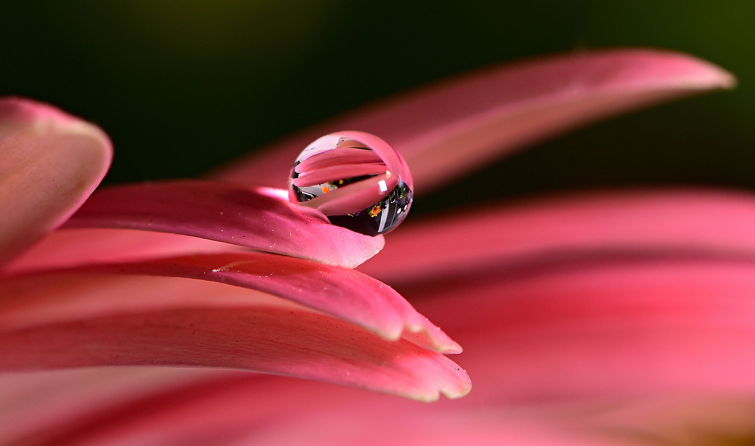 "My drops"