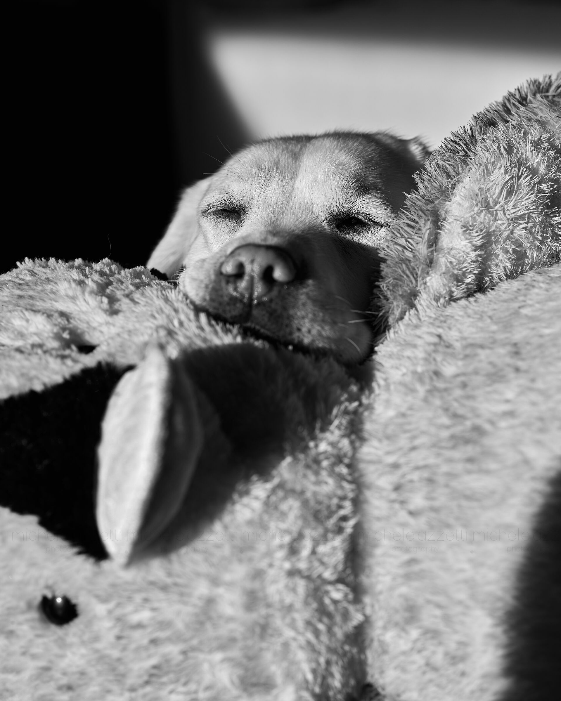 Zzzzzzzzz....