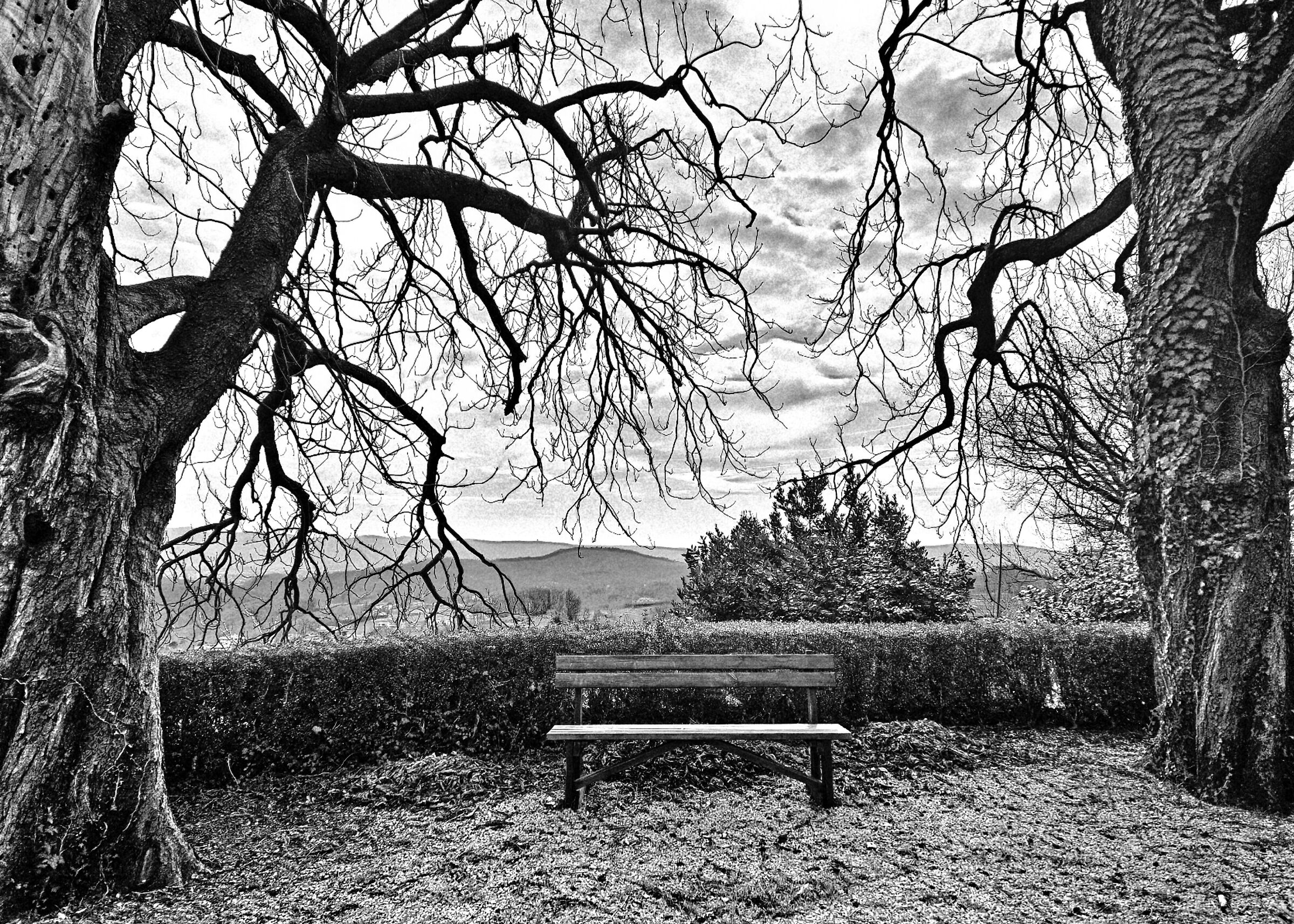 Aspettando primavera